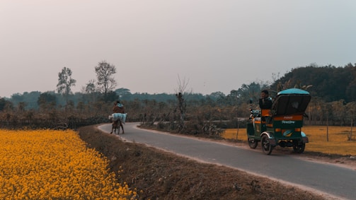 A rural road stretches through a countryside landscape with vibrant yellow flowers blooming along the left side. A man rides a horse carrying bulky bags, and a green motorized rickshaw with a canopy drives along the road. Tall trees and dense foliage are visible in the background under an overcast sky.