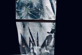 A window with a frosted glass pane partially obscured by dark curtains. The glass reflects and refracts light, casting plant-like shadows that create an intricate pattern.