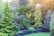 A lush, green garden filled with various types of tall coniferous trees and shrubs under the warm glow of sunlight. The landscape includes a manicured lawn and rock arrangements, evoking a sense of tranquility and natural beauty.