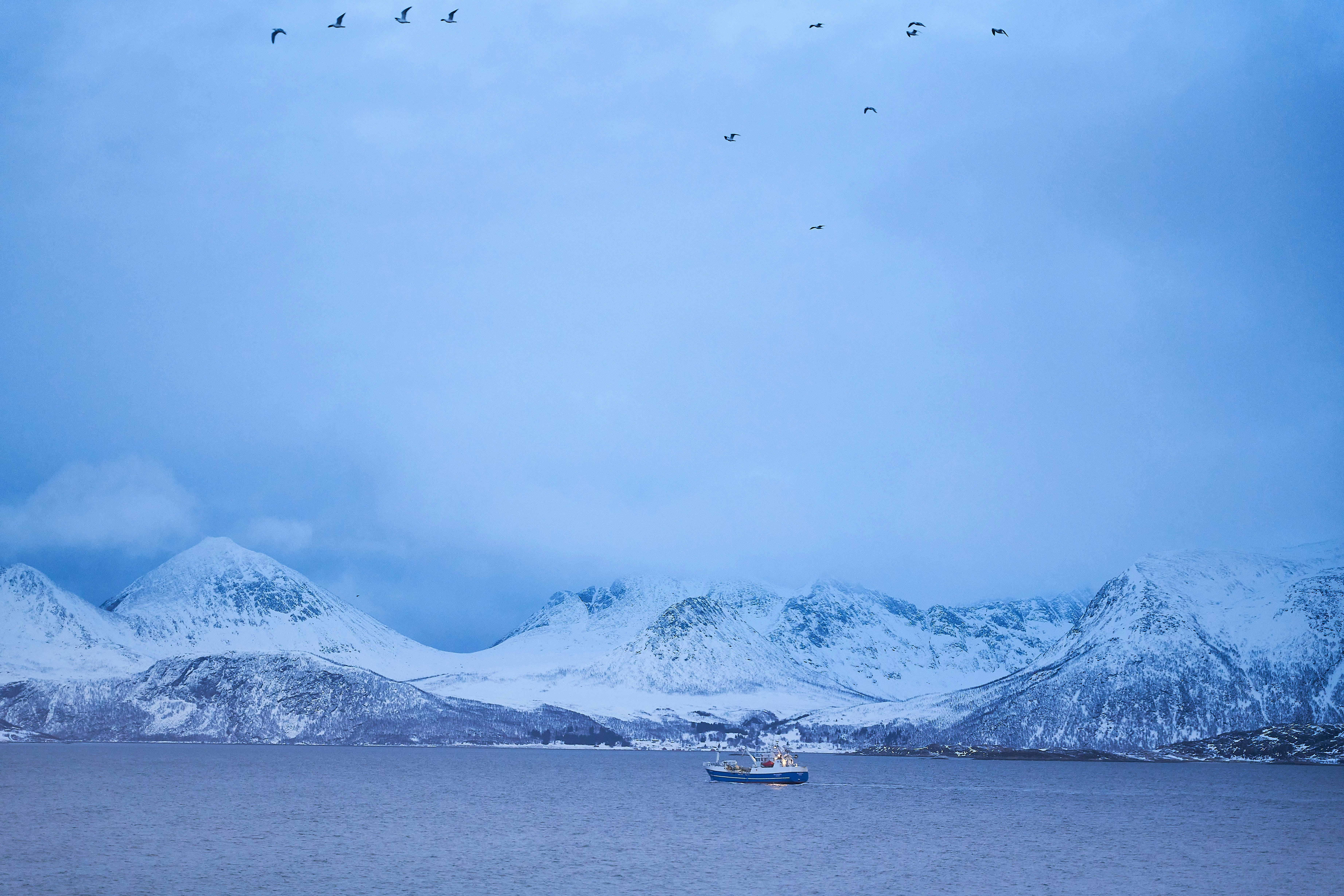 Photo by travelalphawolf