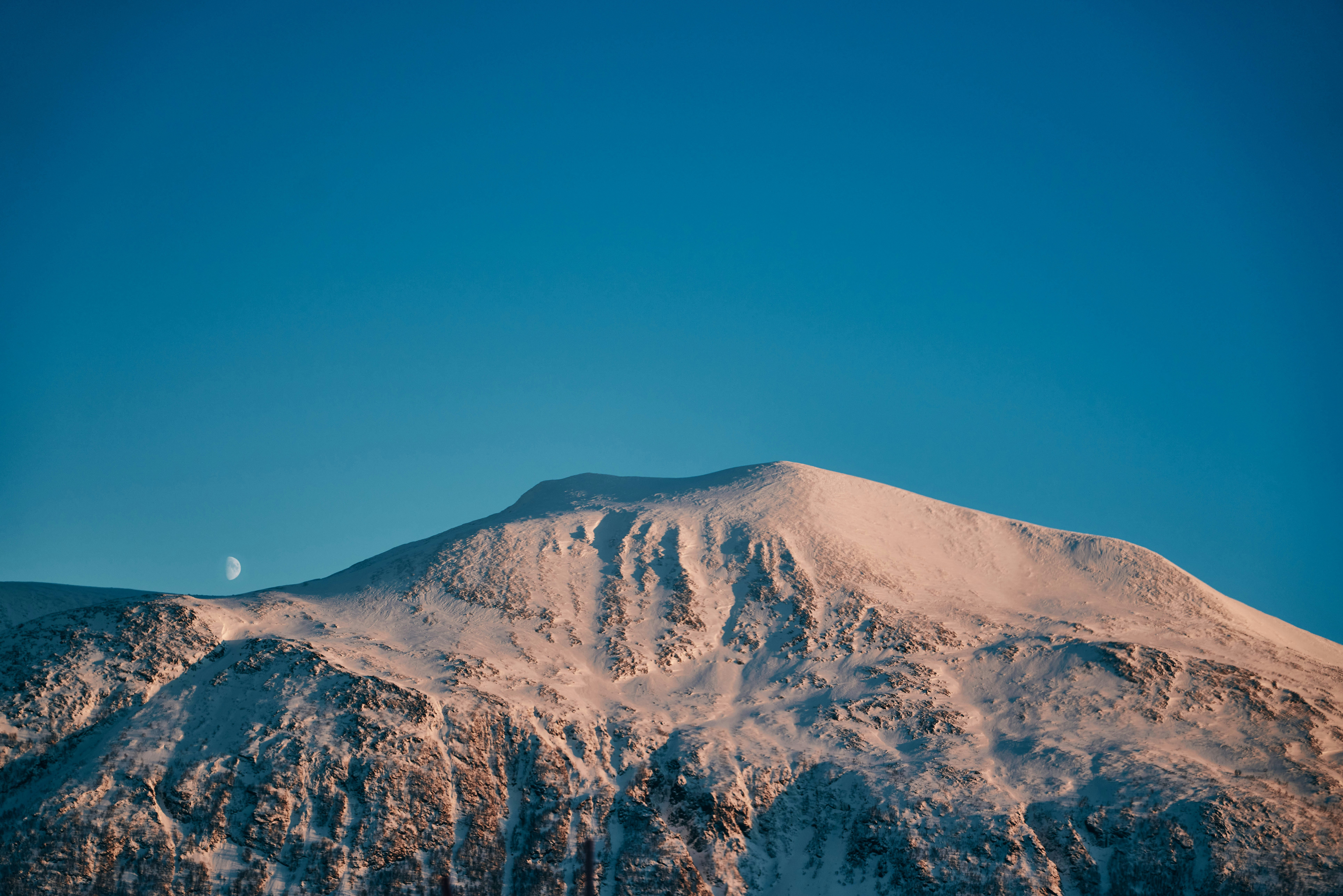 Photo by travelalphawolf