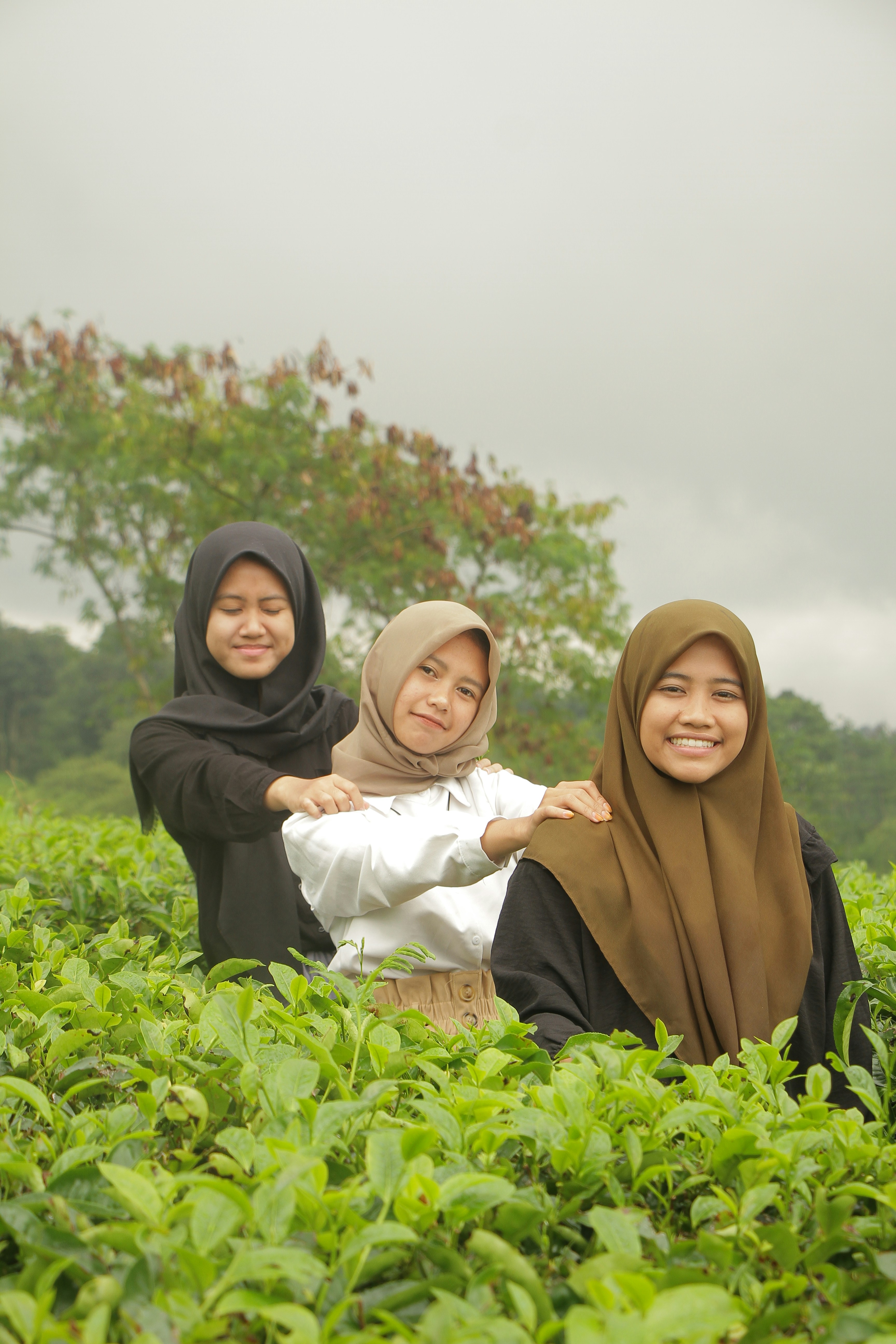 Tiga wanita berjilbab sedang duduk di ladang