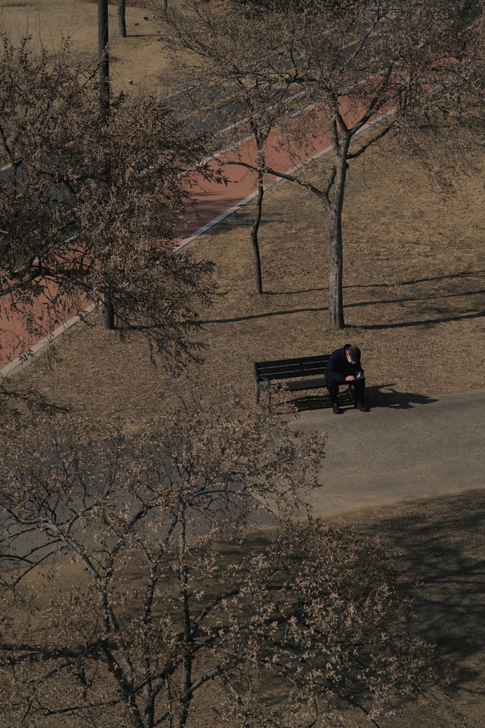 a person sitting on a bench in a park