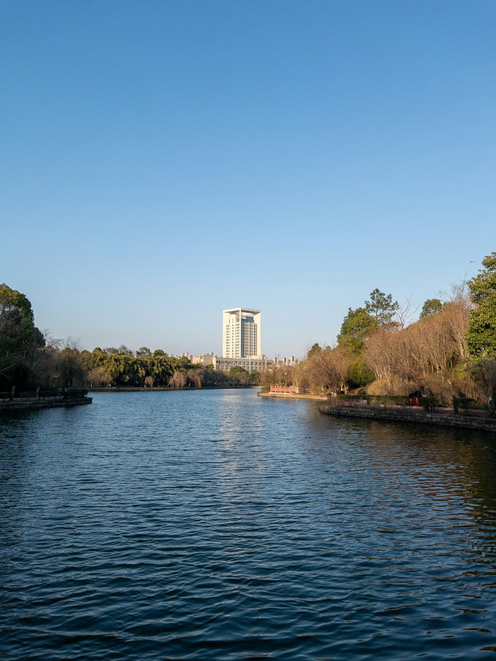 a body of water surrounded by trees and a tall building