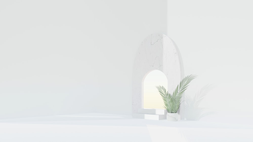 a white room with a plant in the corner
