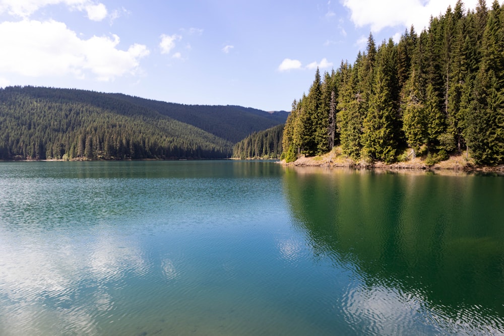 a large body of water surrounded by trees