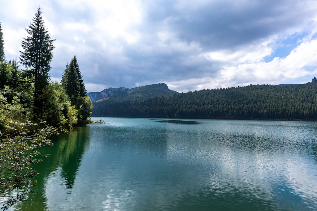 a large body of water surrounded by trees