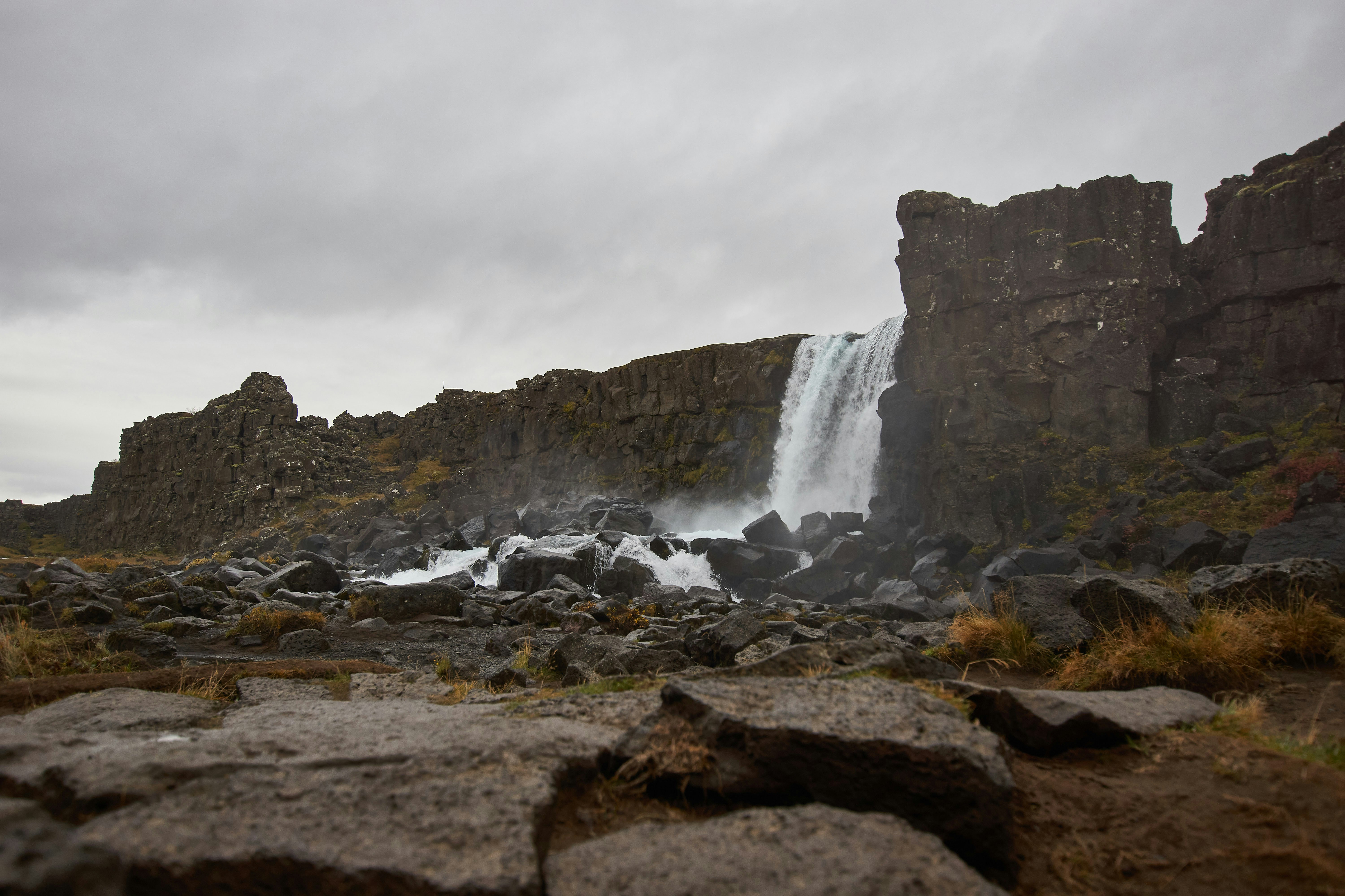 Photo by wolfgang_hasselmann