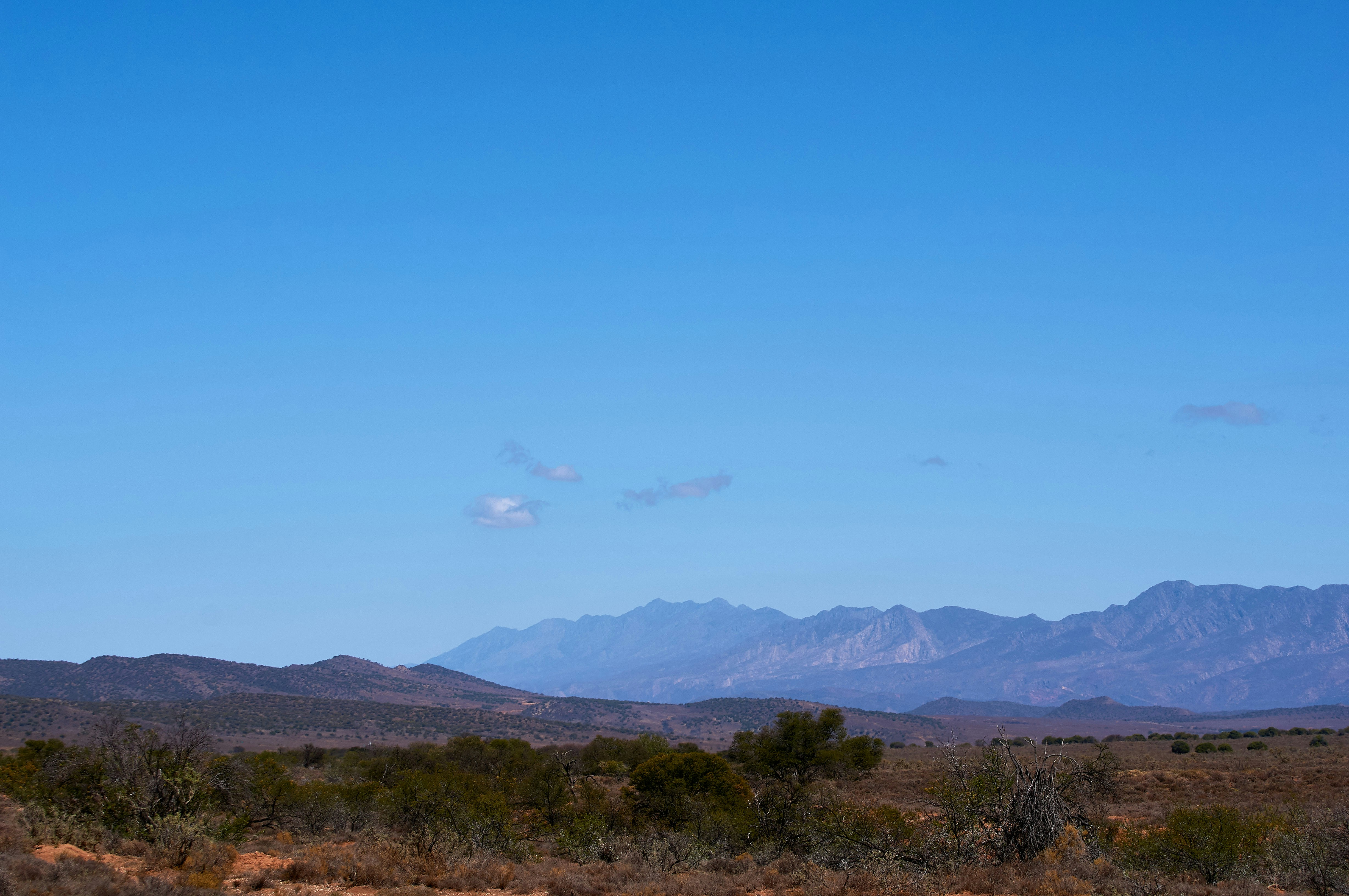 Photo by wolfgang_hasselmann