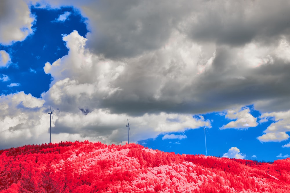 a hill covered in red trees under a cloudy blue sky