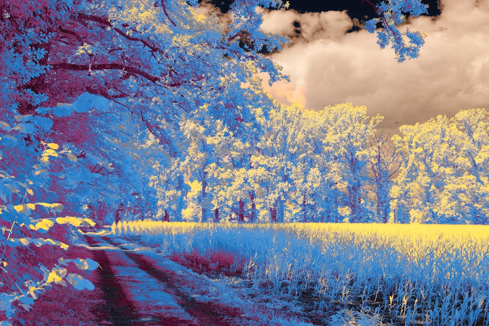 a blue and yellow infrared image of trees and grass