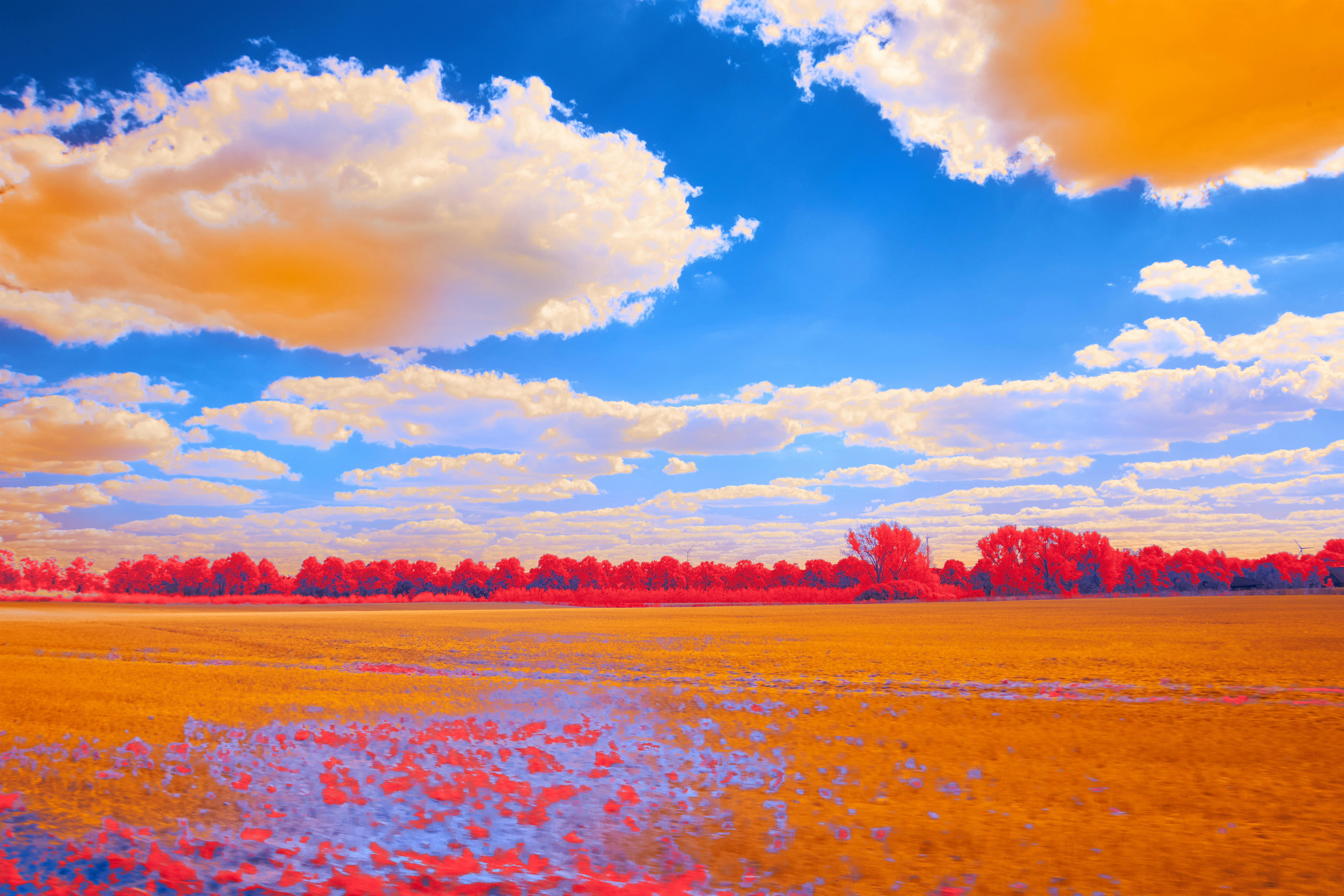 Photo by wolfgang_hasselmann