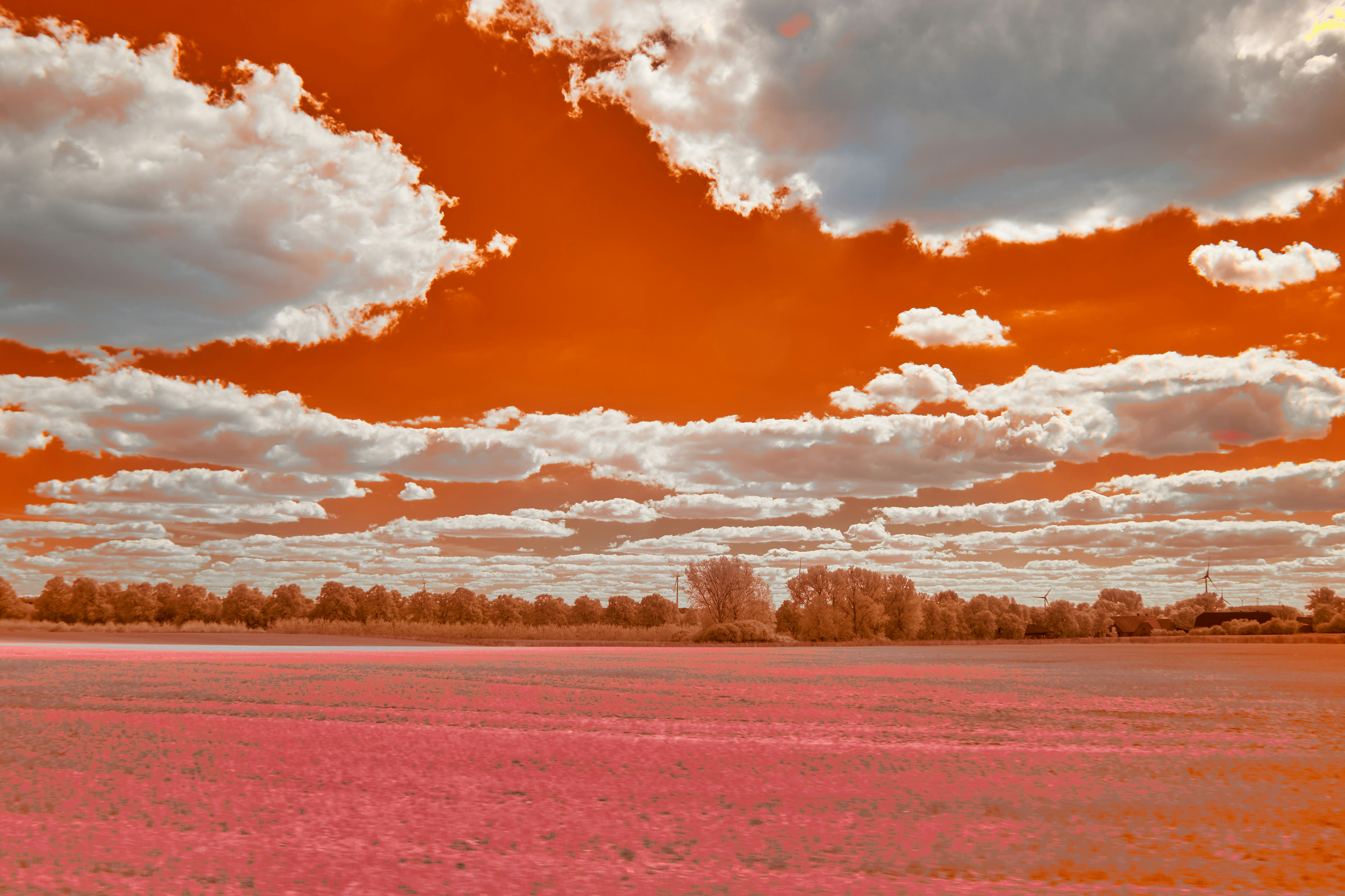 Photo by wolfgang_hasselmann