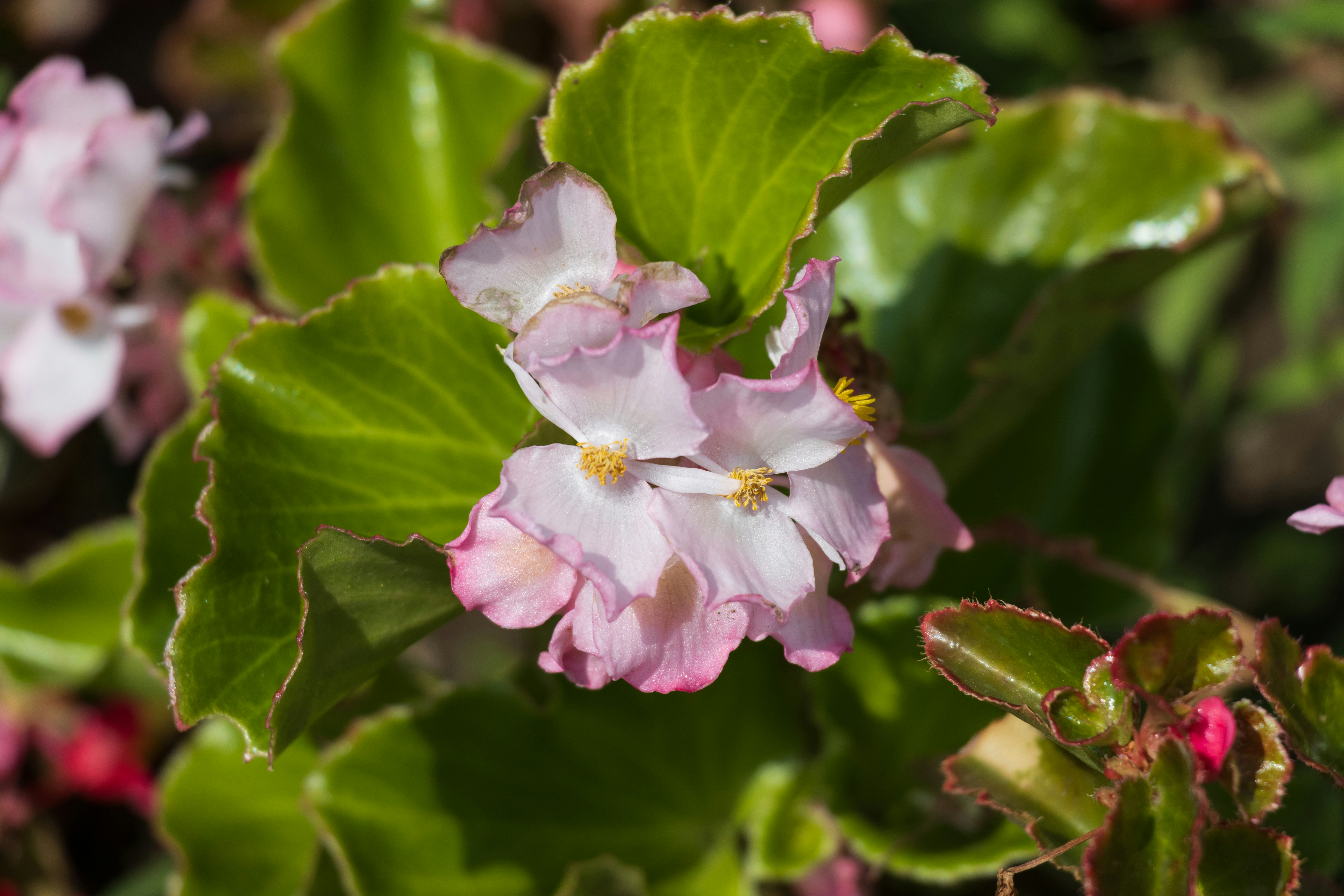 Photo by mechaowlstudios