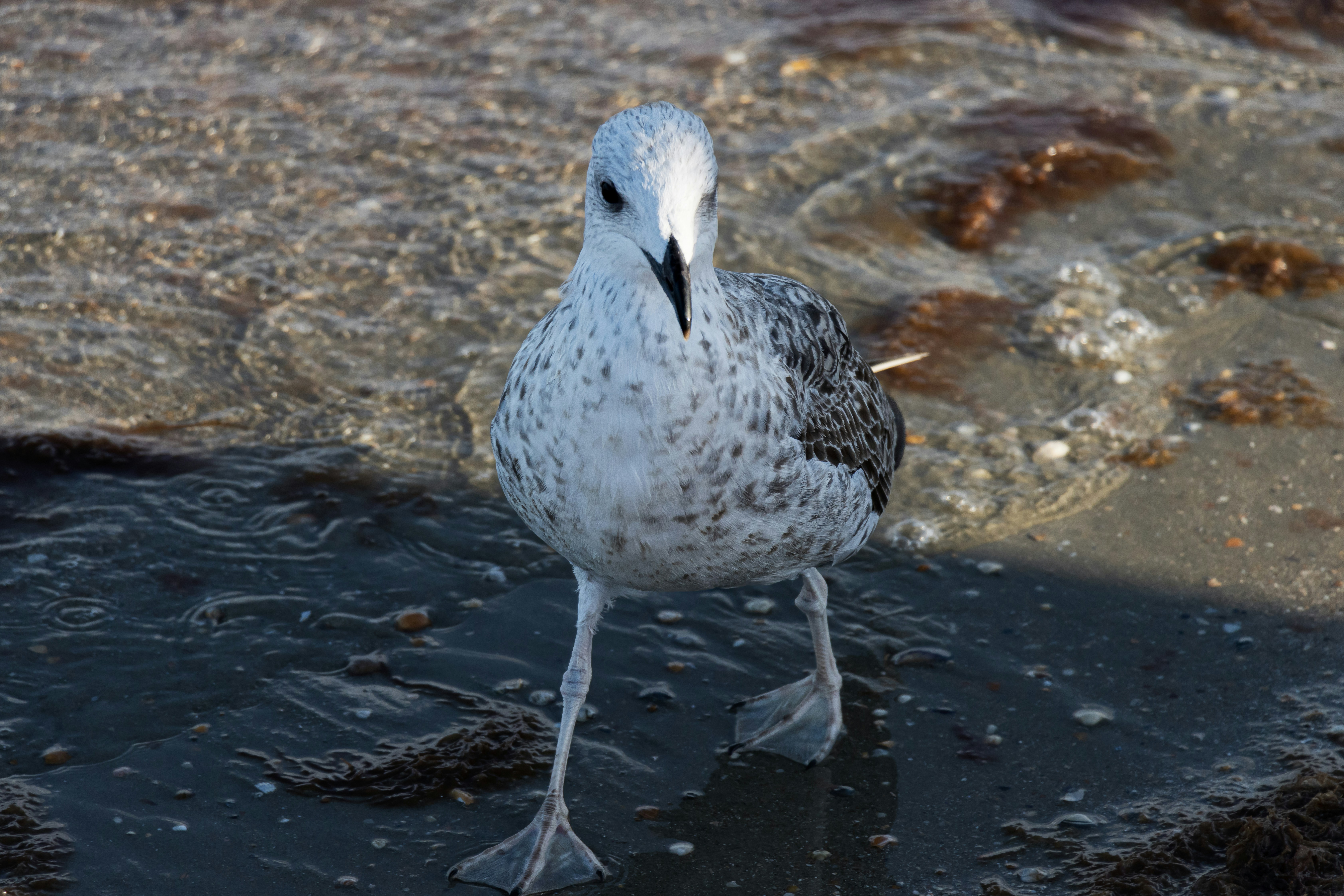 Photo by mechaowlstudios