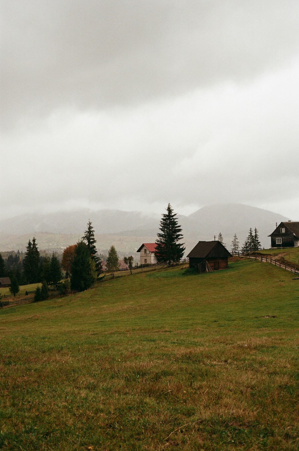 a grassy field with houses on a hill in the background