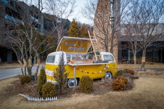 A vintage yellow van, converted into a food truck, is parked on a grassy area surrounded by leafless trees and shrubs. It features decorative string lights, and the roof is propped open like a hatch, revealing items inside. The setting includes a stone structure and a modern building in the background.