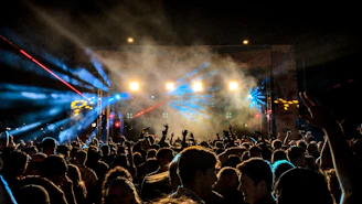 A crowd enjoying a nighttime outdoor concert under colorful lights.
