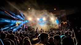 Crowd enjoying a night gig with hardplay's electronic music in the background.