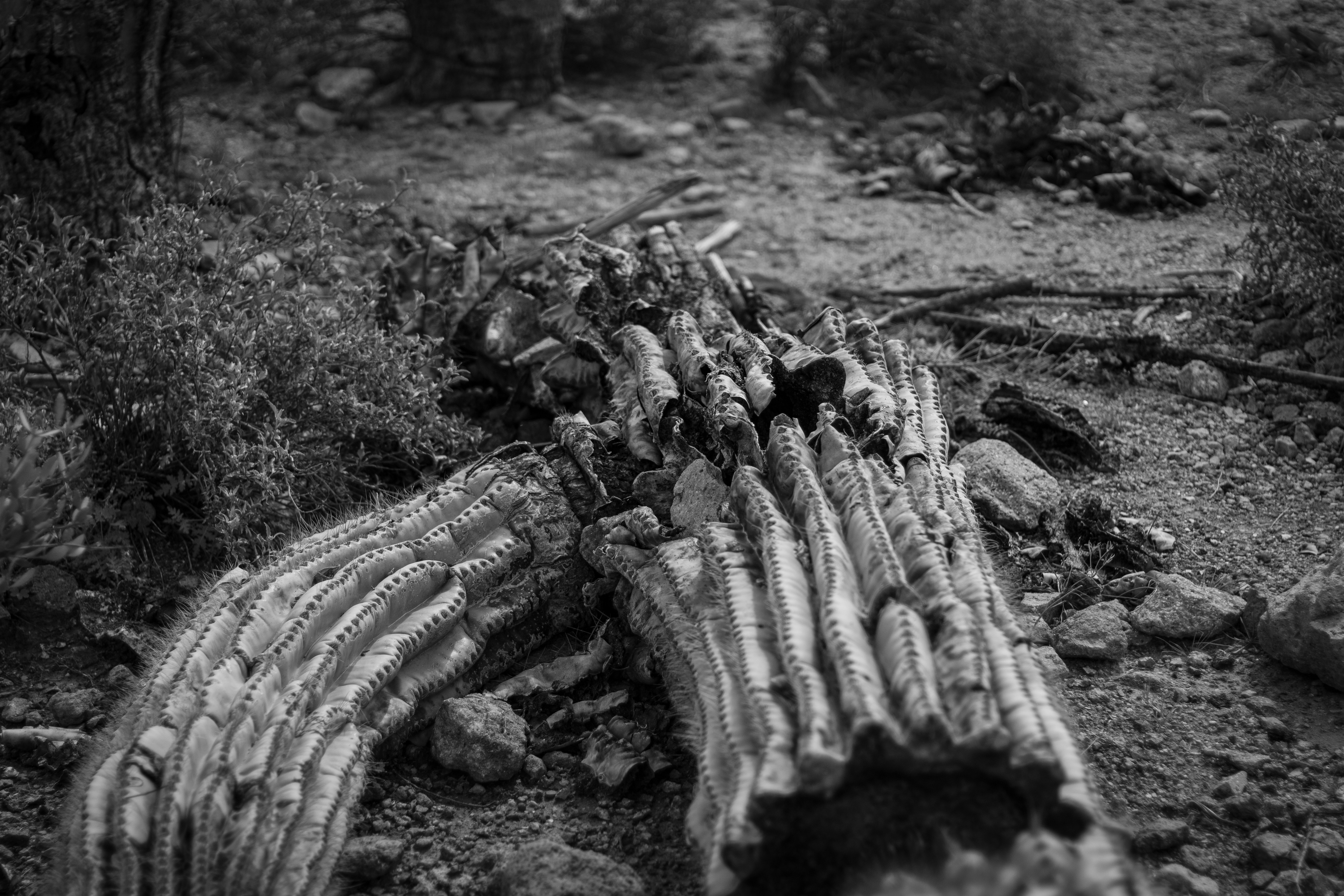 Photo by peterbishphotos