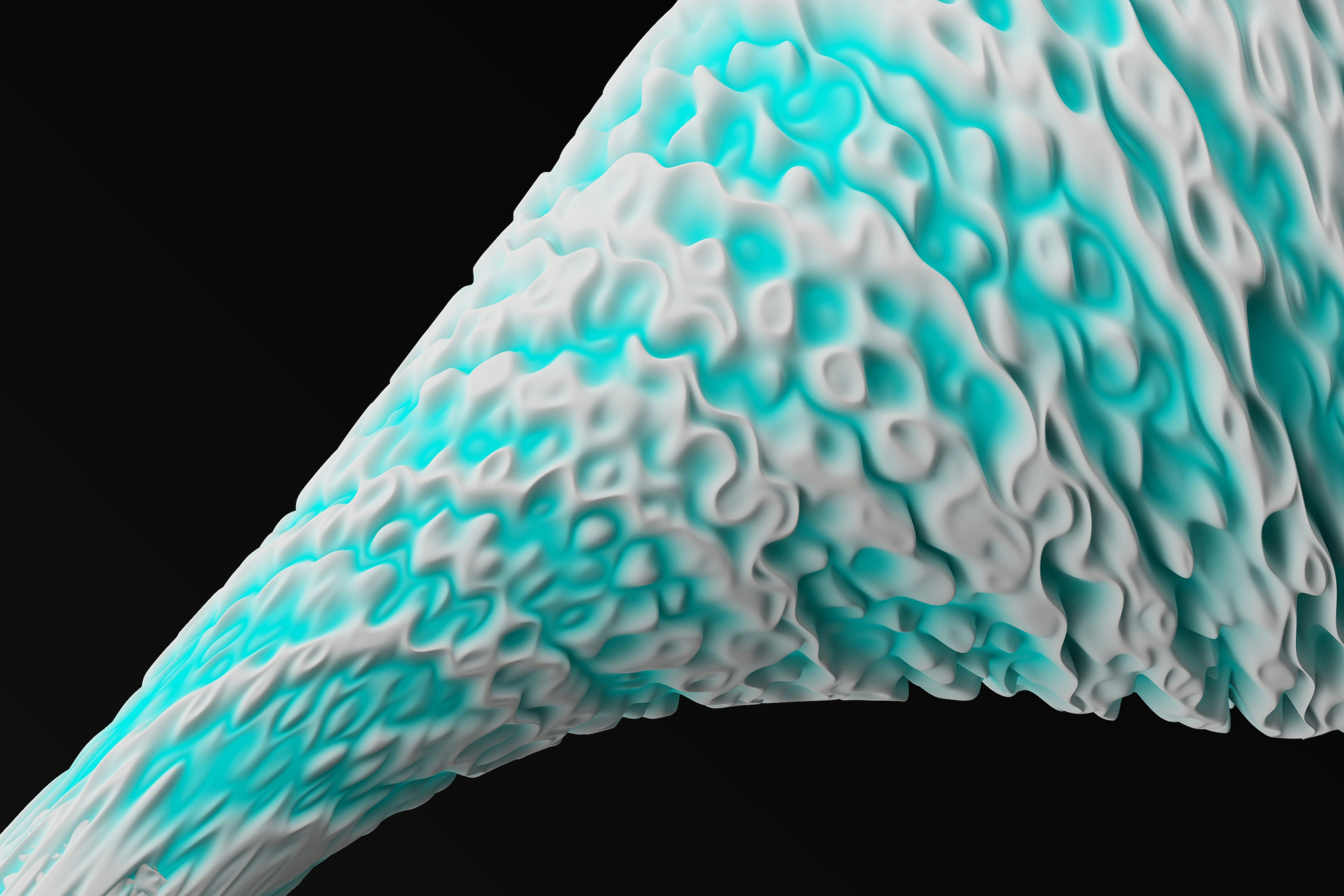 Maria Gomez: 3D Printing Tissues for Transplants (image credits: unsplash)