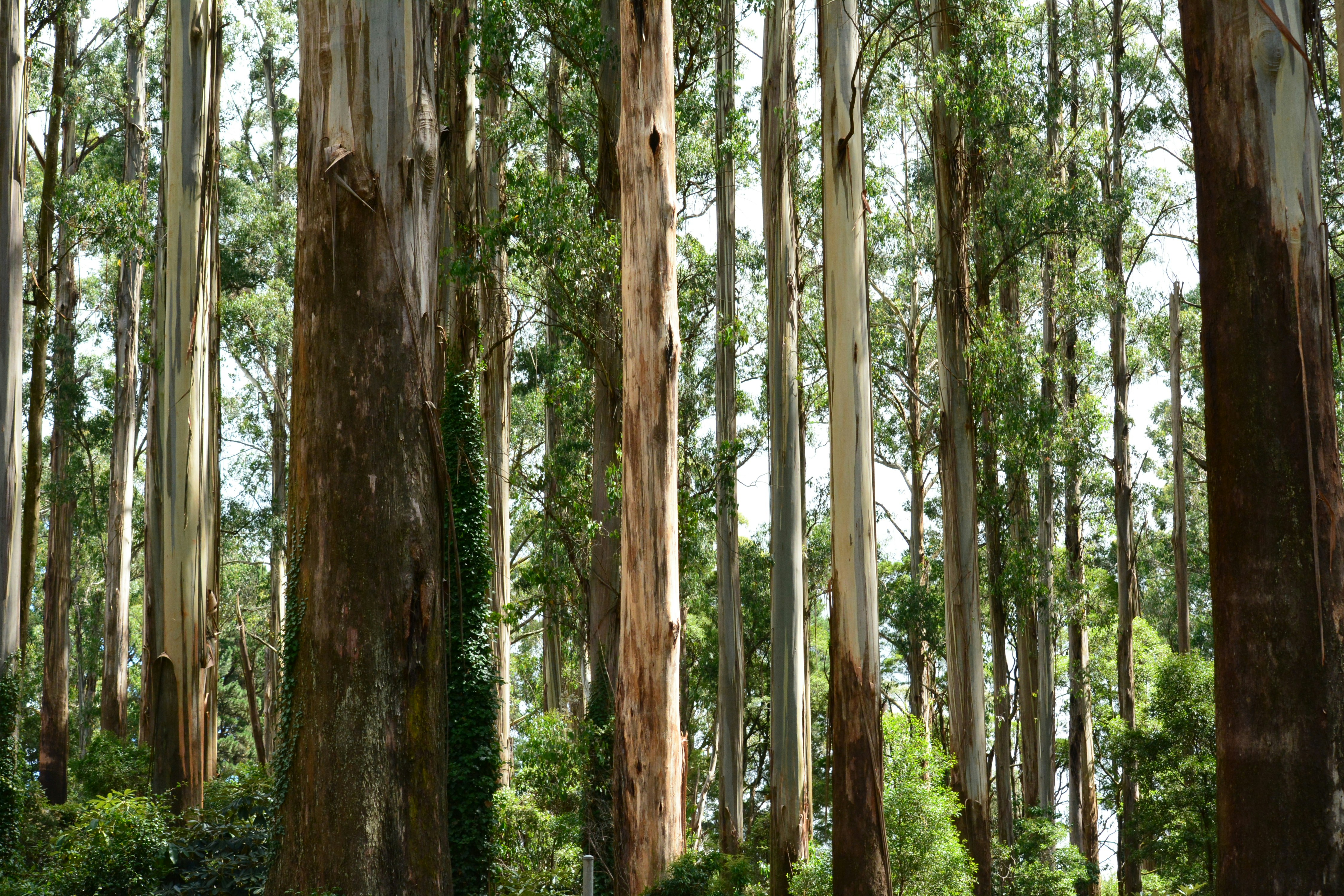 Photo by richard7seals