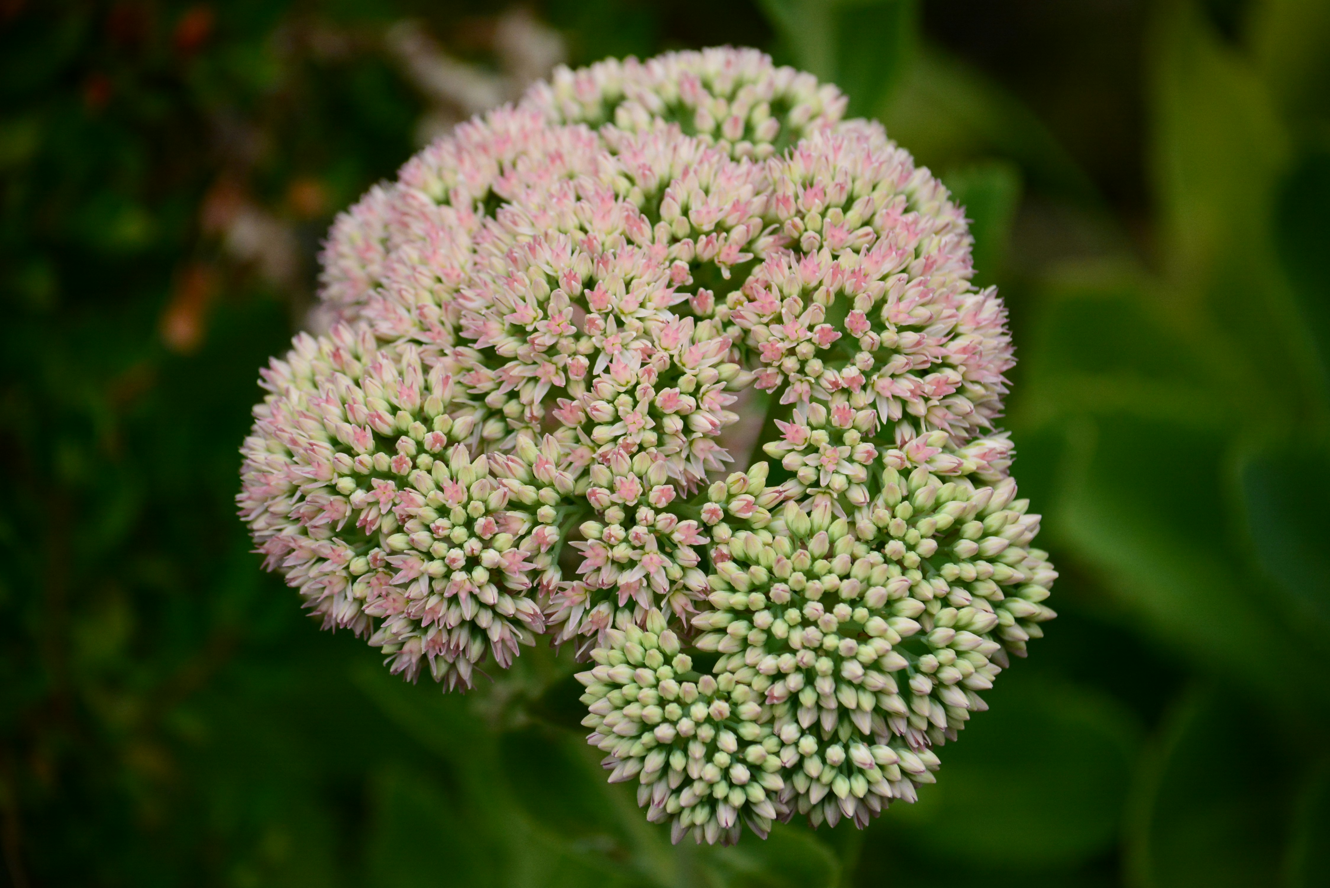 Photo by richard7seals