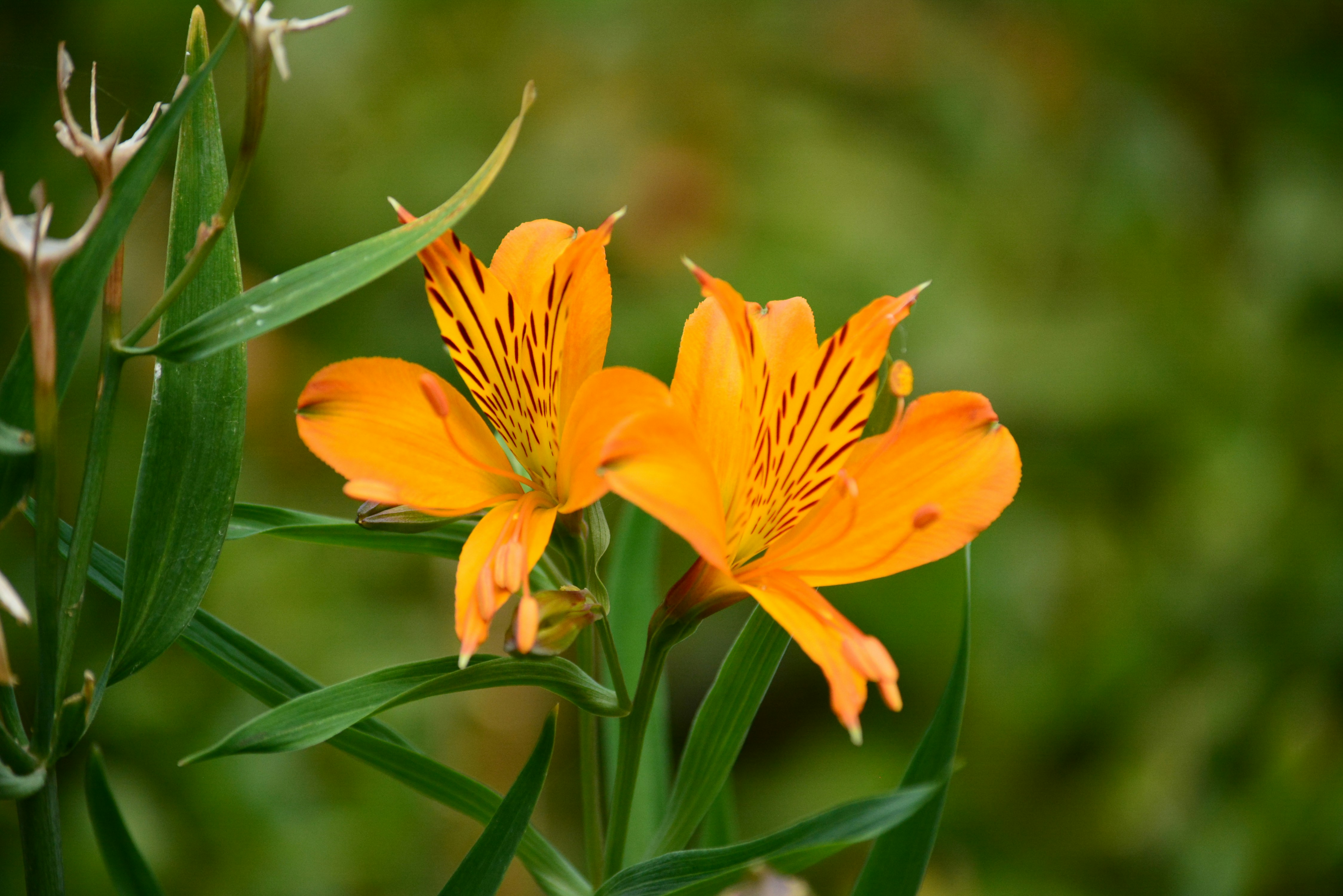 Photo by richard7seals