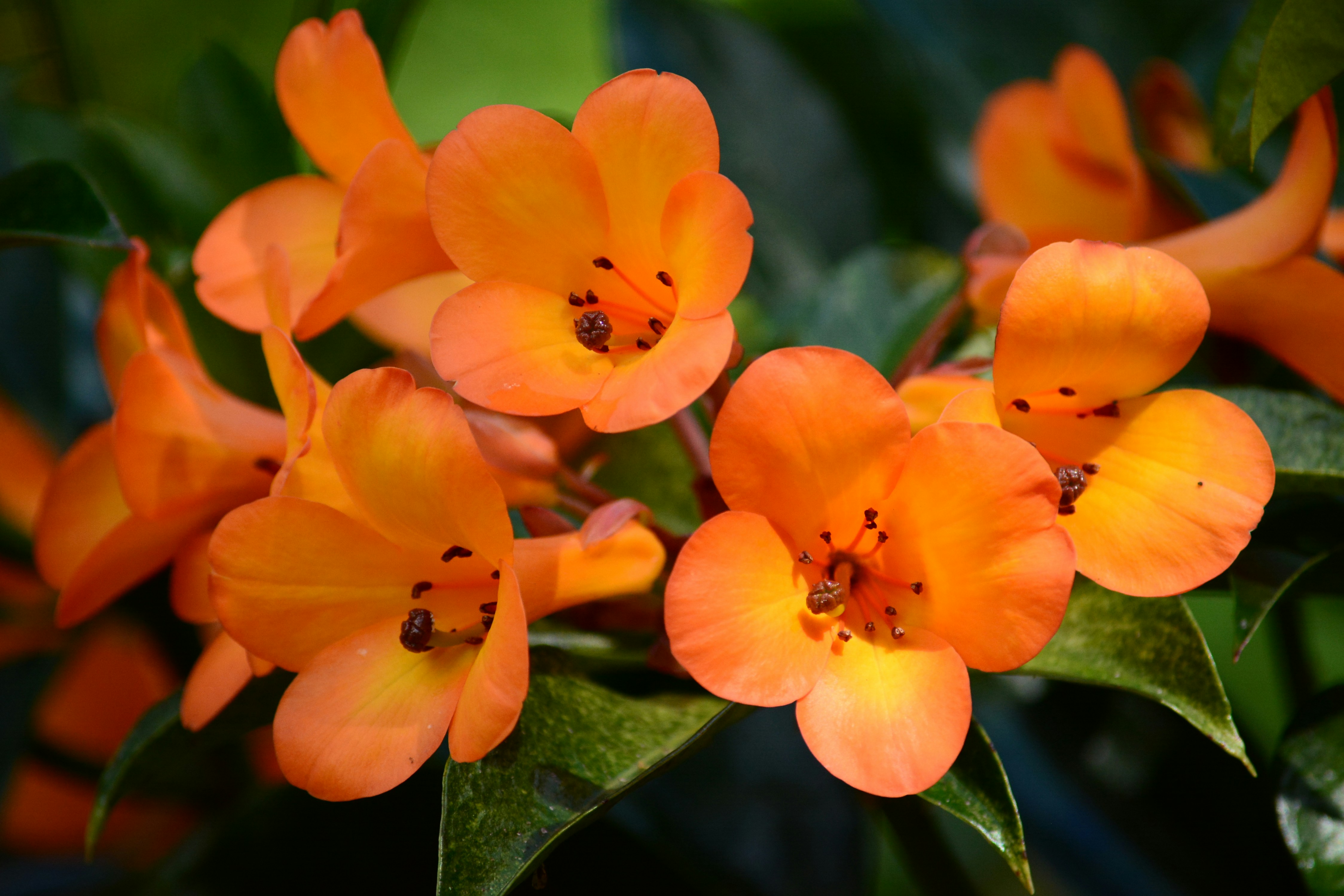 Photo by richard7seals