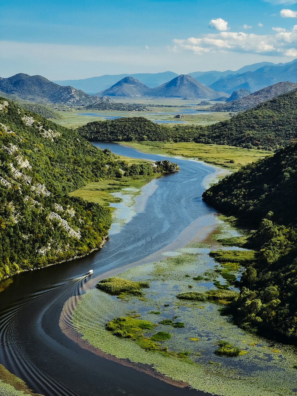 a river running through a lush green valley