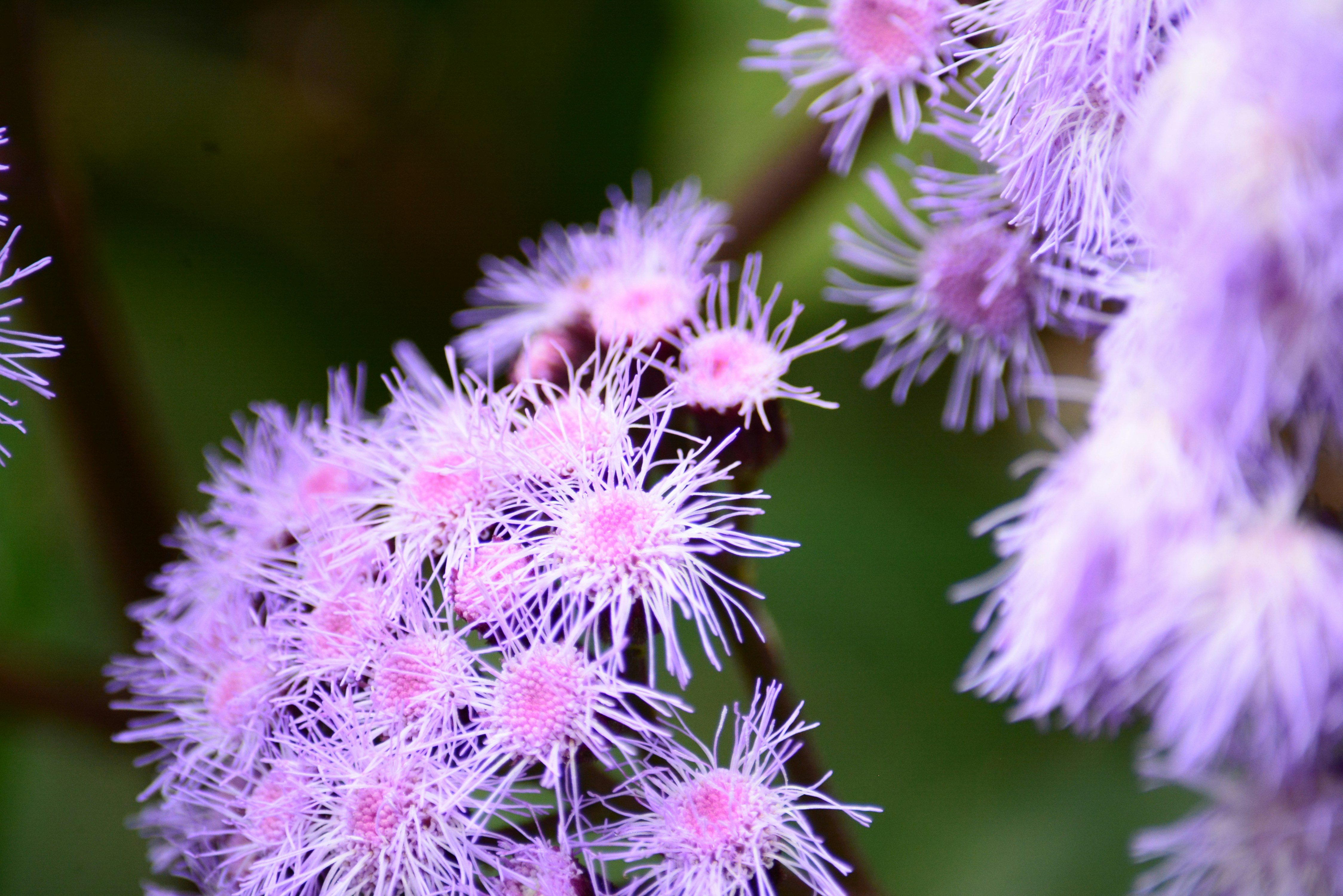 Photo by richard7seals