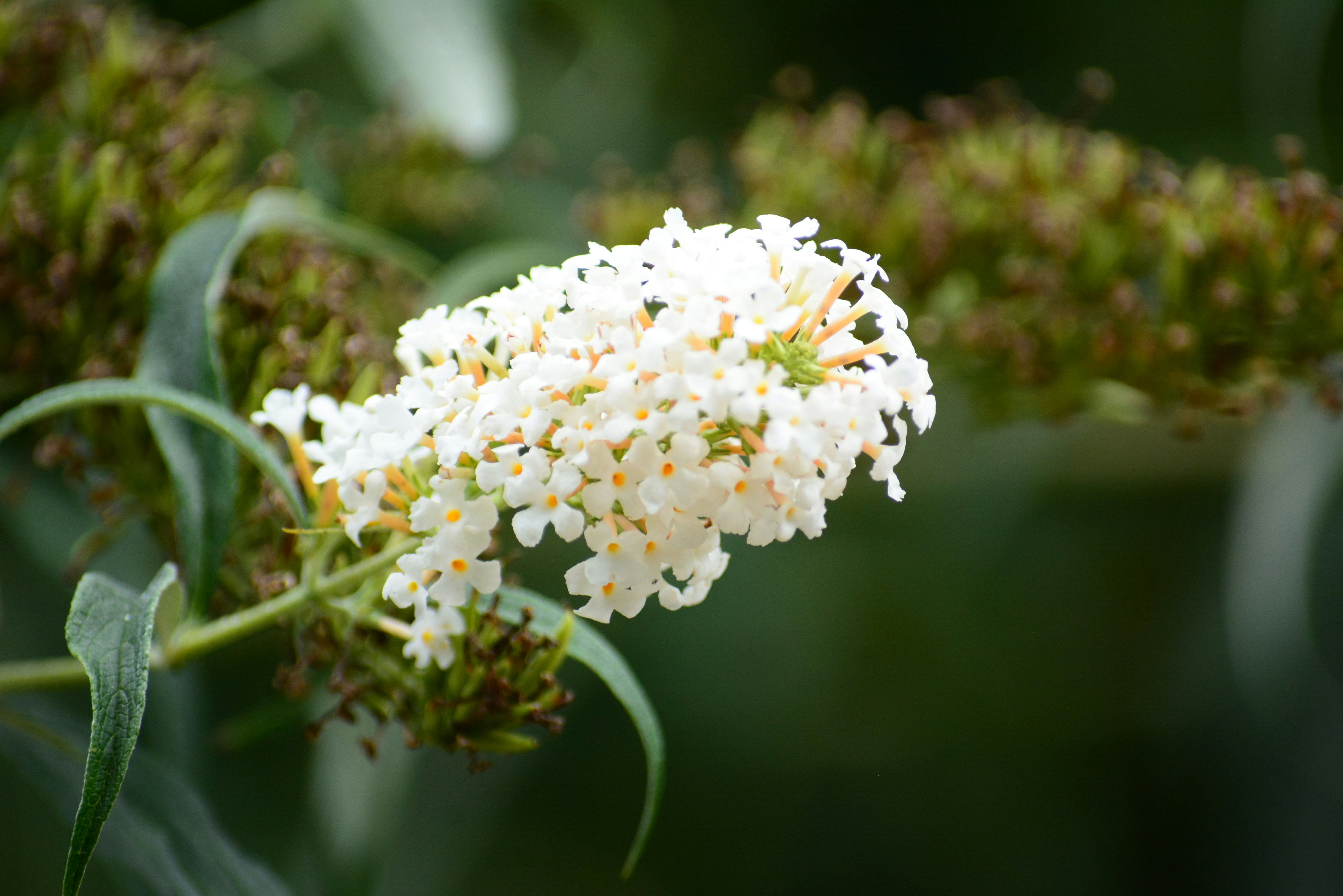 Photo by richard7seals