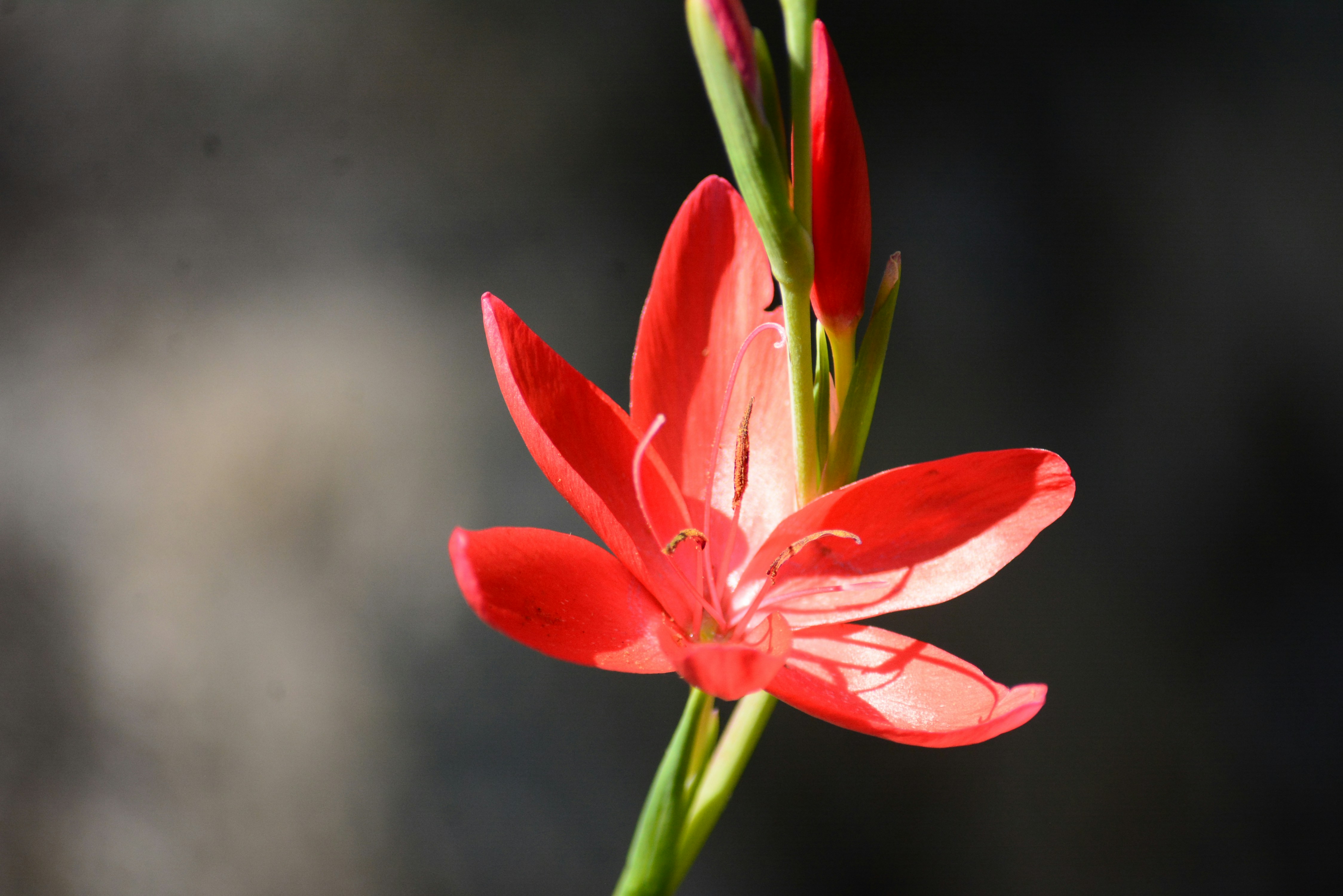 Photo by richard7seals