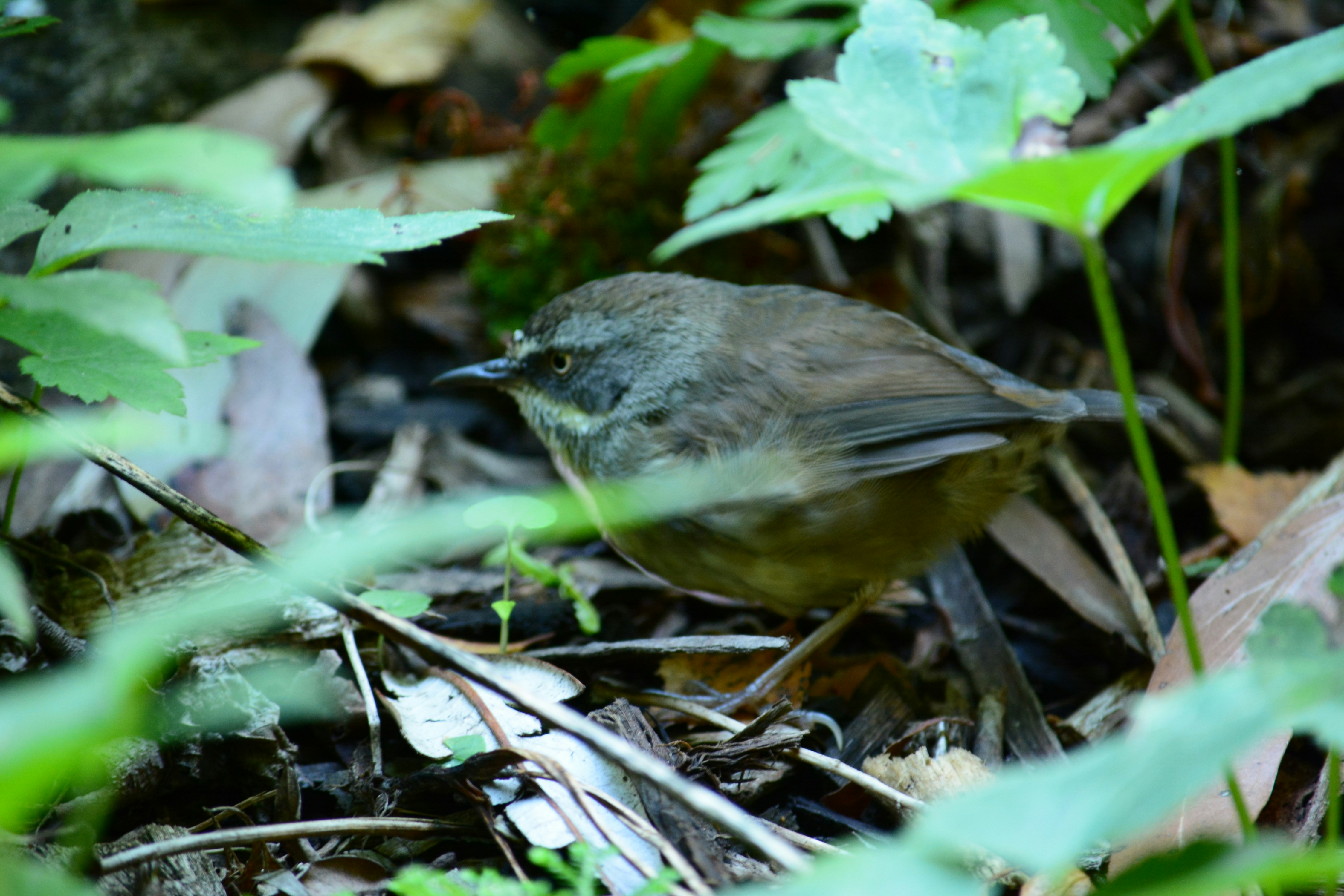 Photo by richard7seals