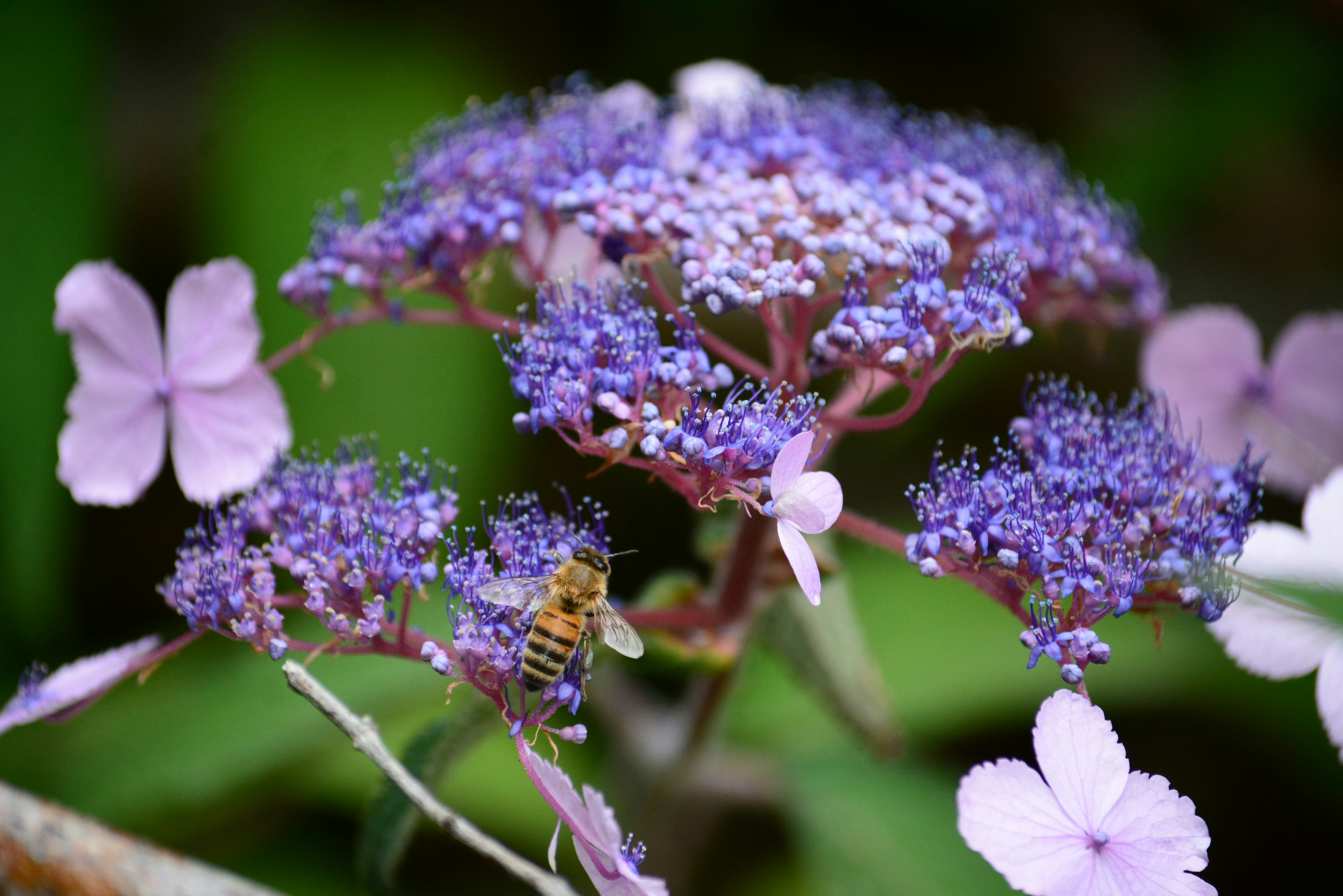 Photo by richard7seals