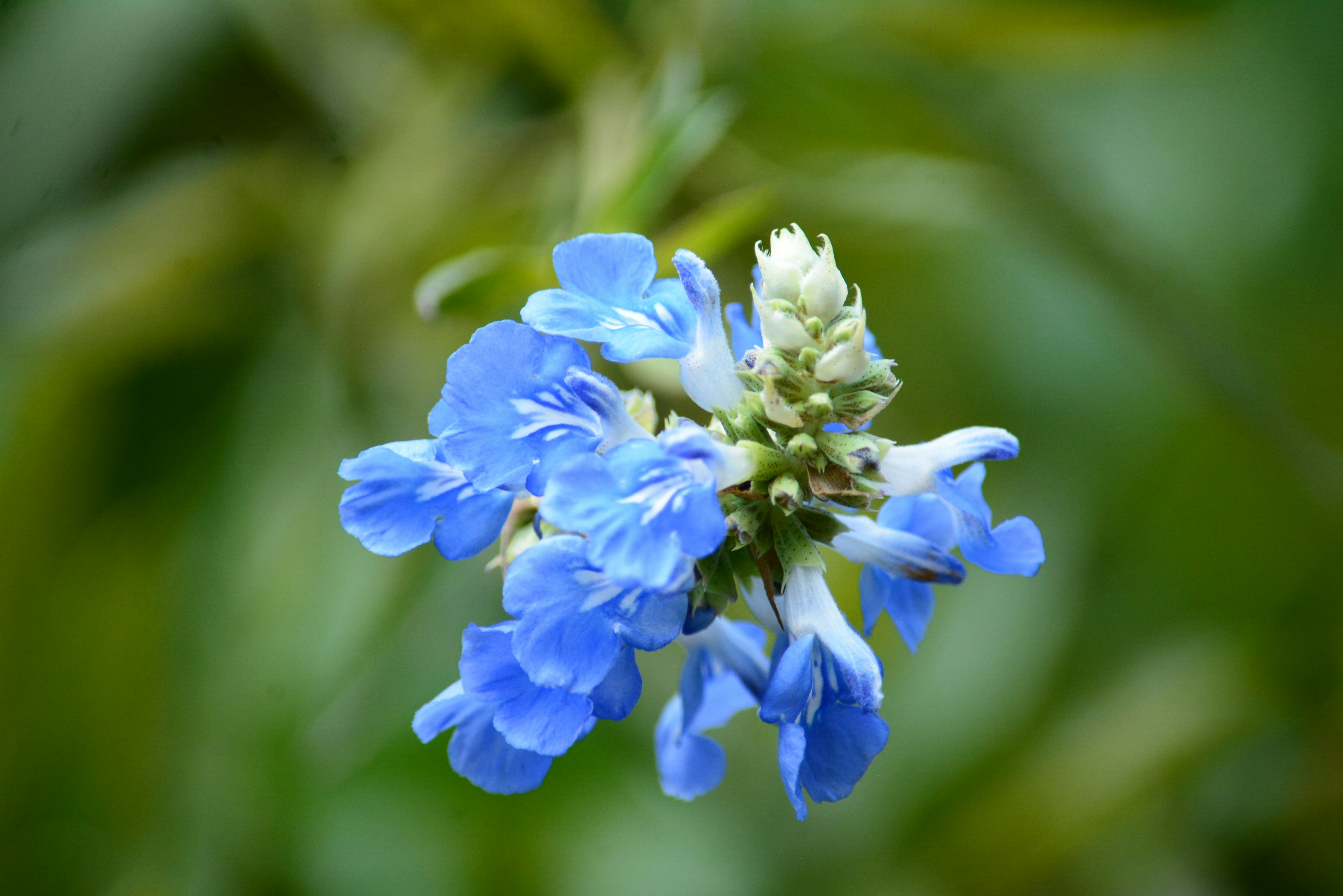 Photo by richard7seals