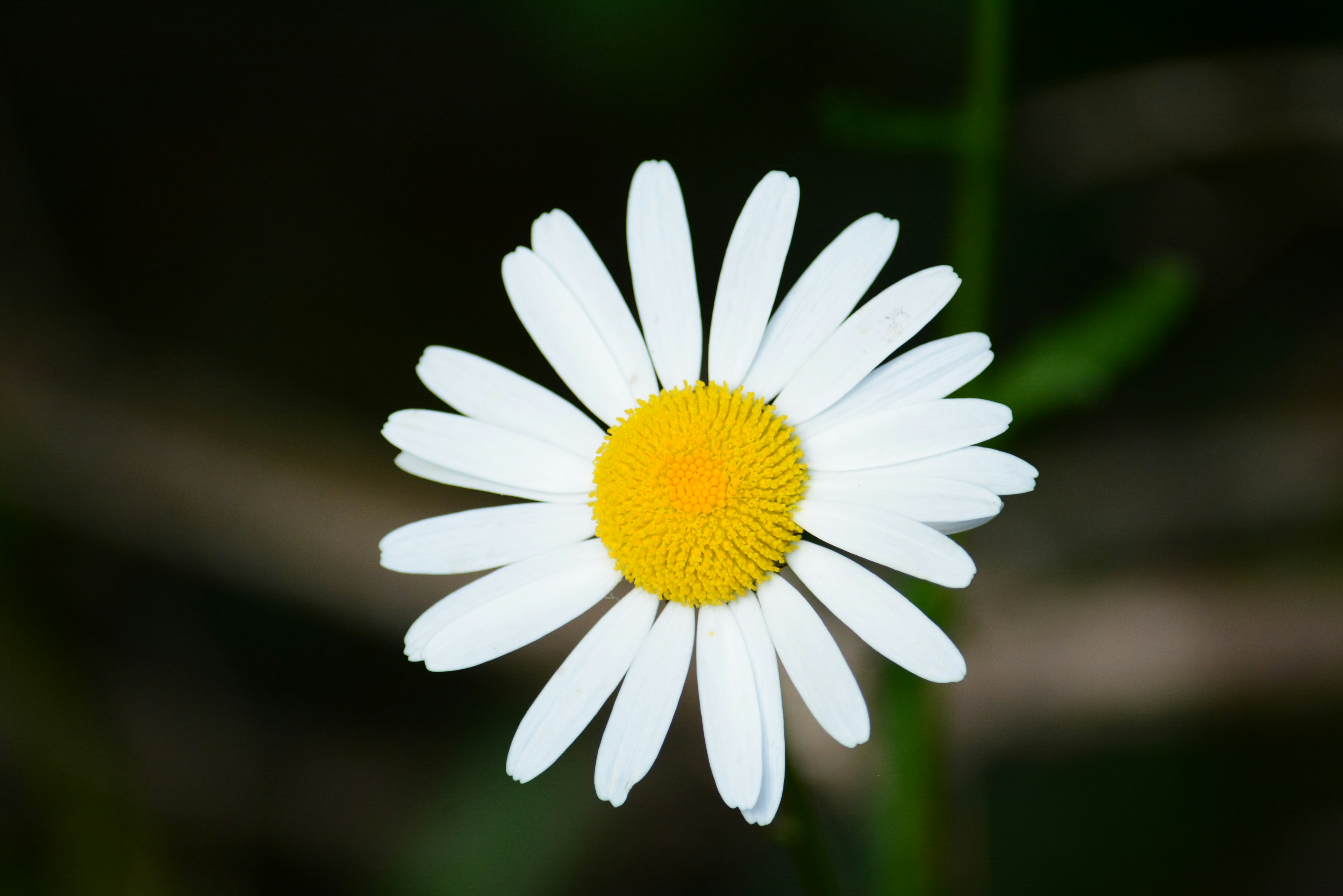 Photo by richard7seals