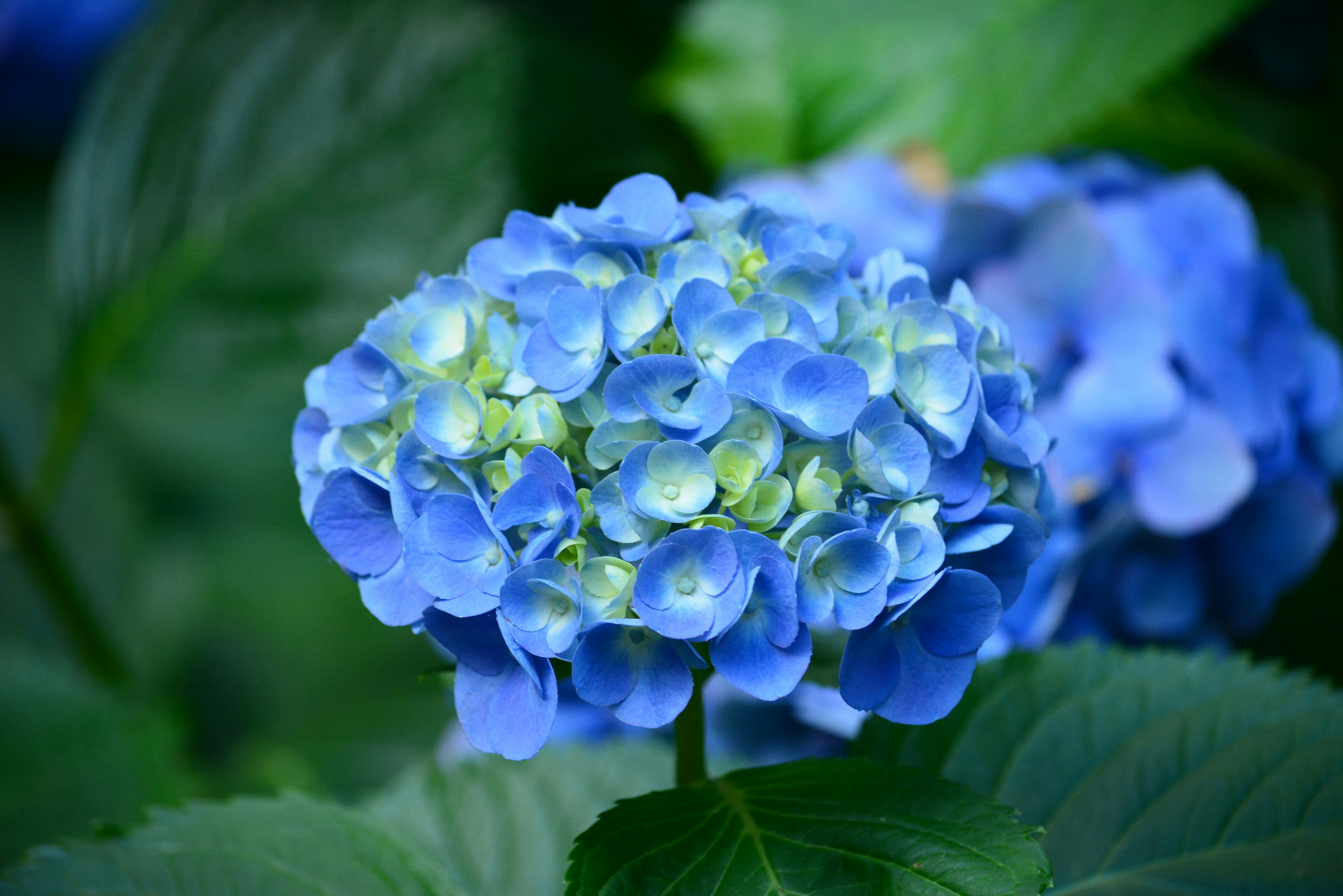 Photo by richard7seals