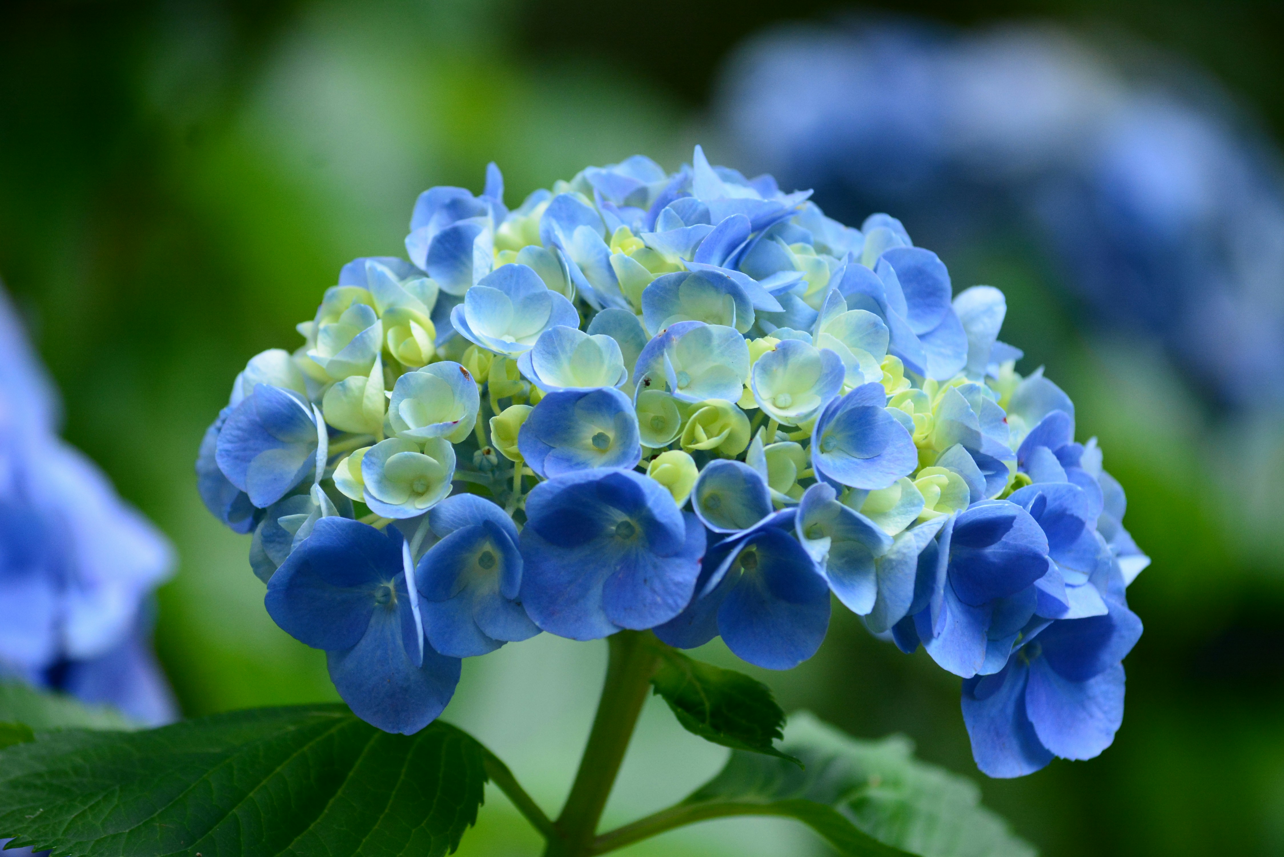 Photo by richard7seals