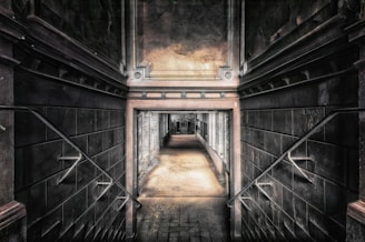 A dimly lit, decaying asylum hallway with flickering lights and peeling wallpaper.