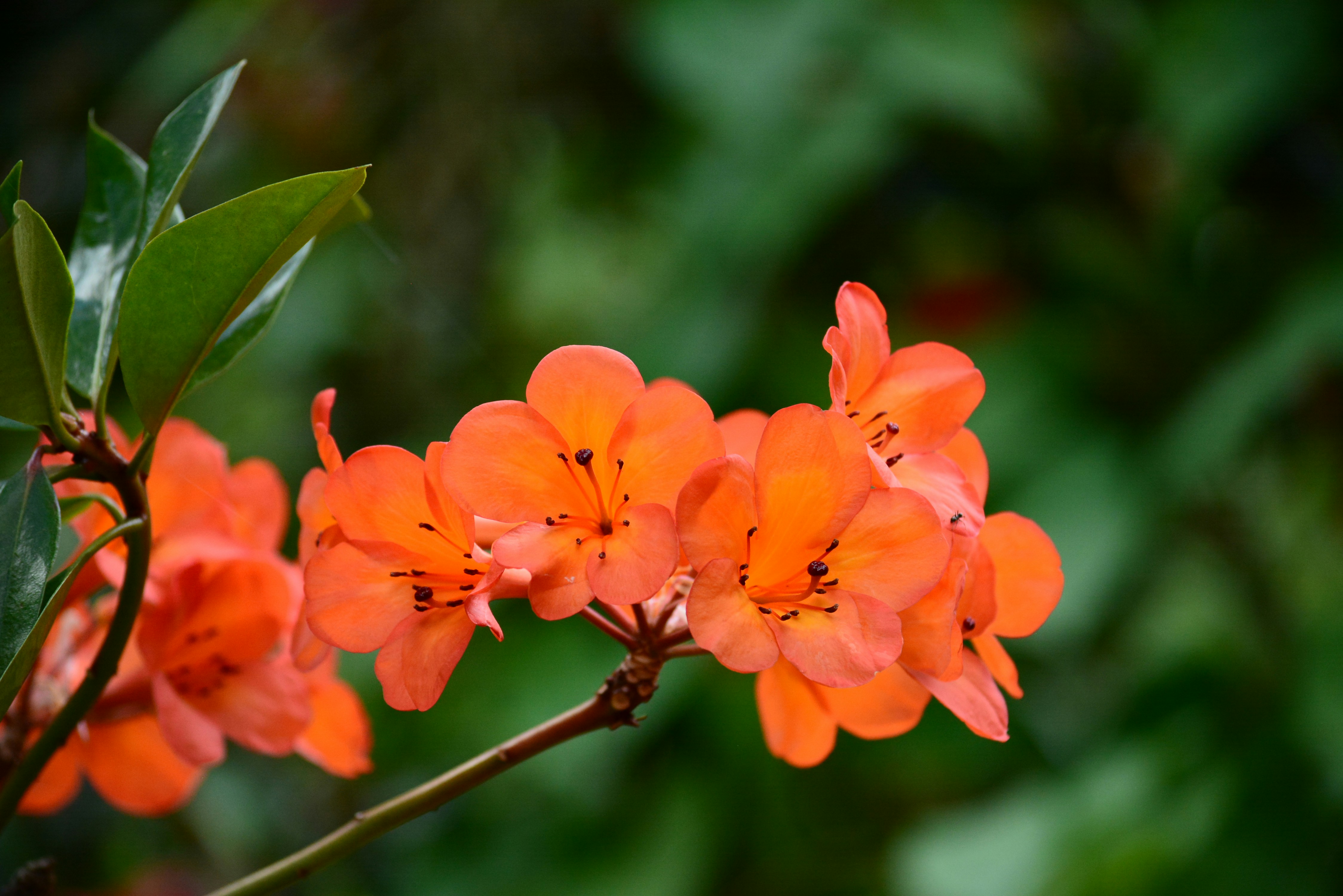 Photo by richard7seals