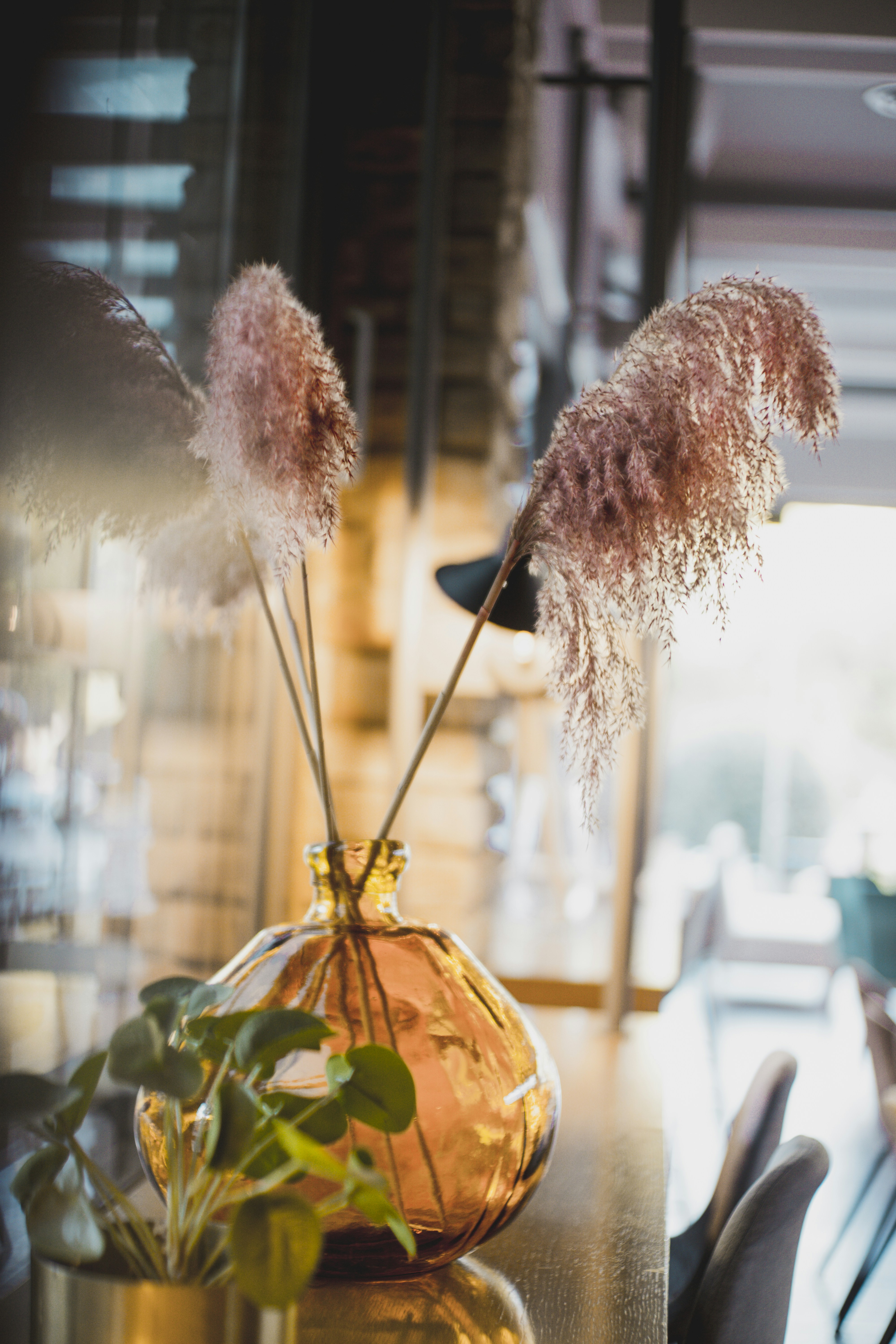 Photo by andrianigeor