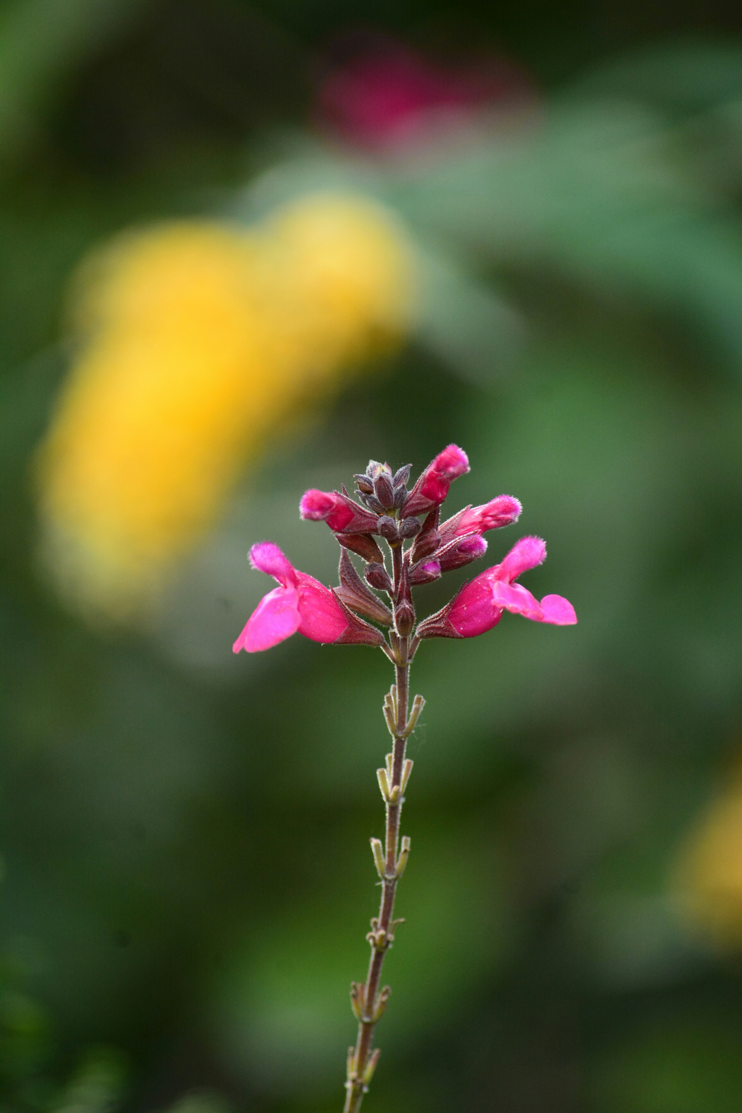 Photo by richard7seals