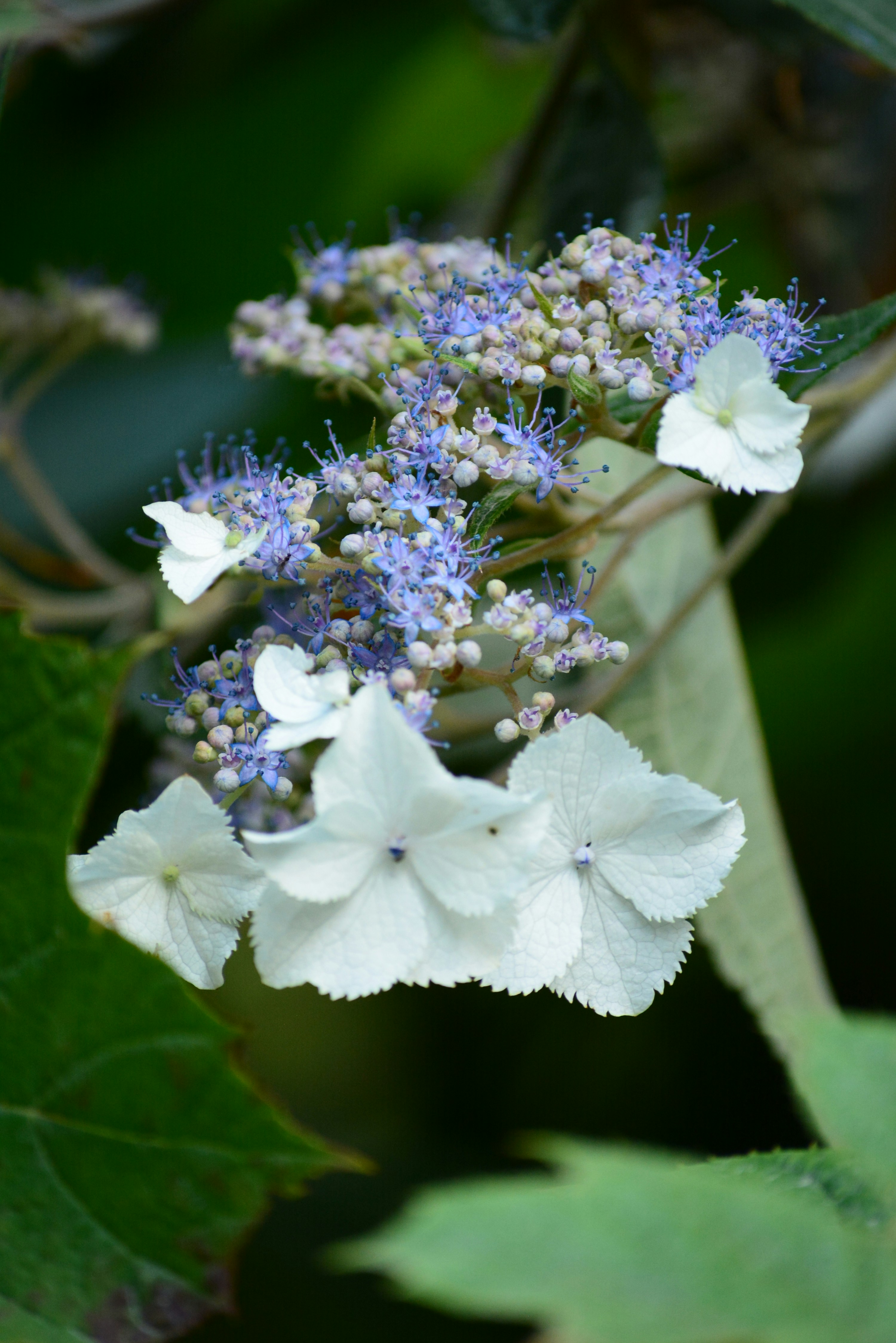 Photo by richard7seals