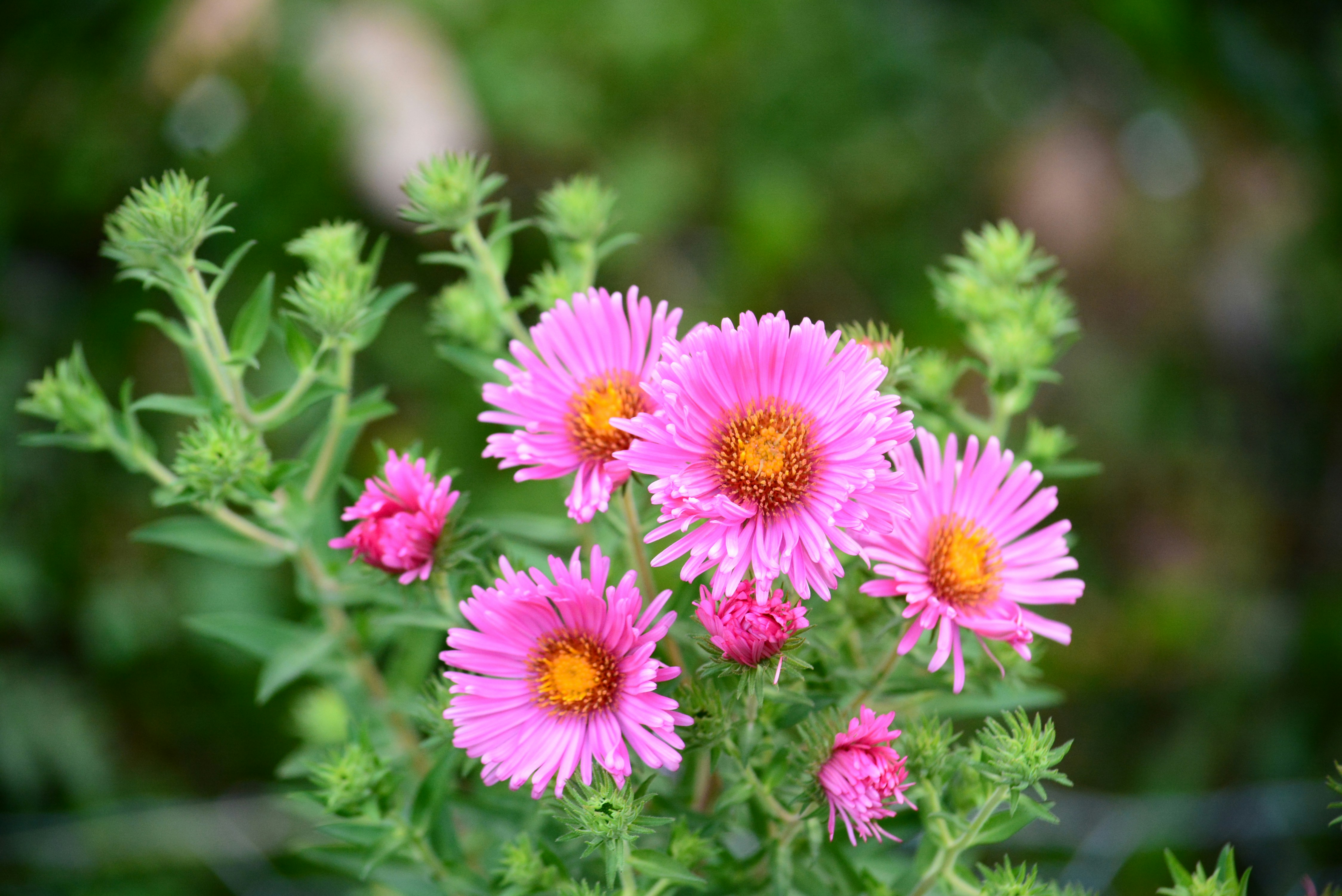 Photo by richard7seals