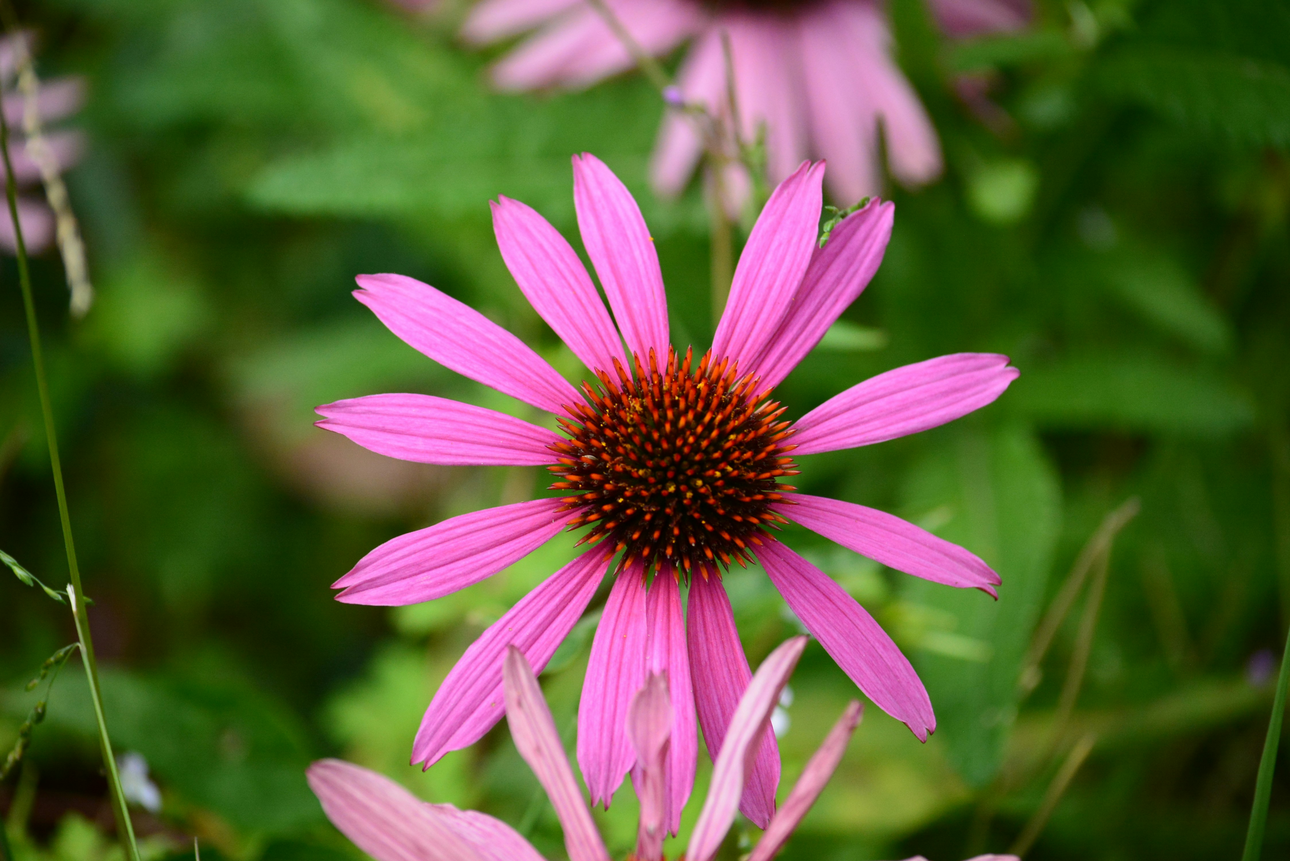 Photo by richard7seals