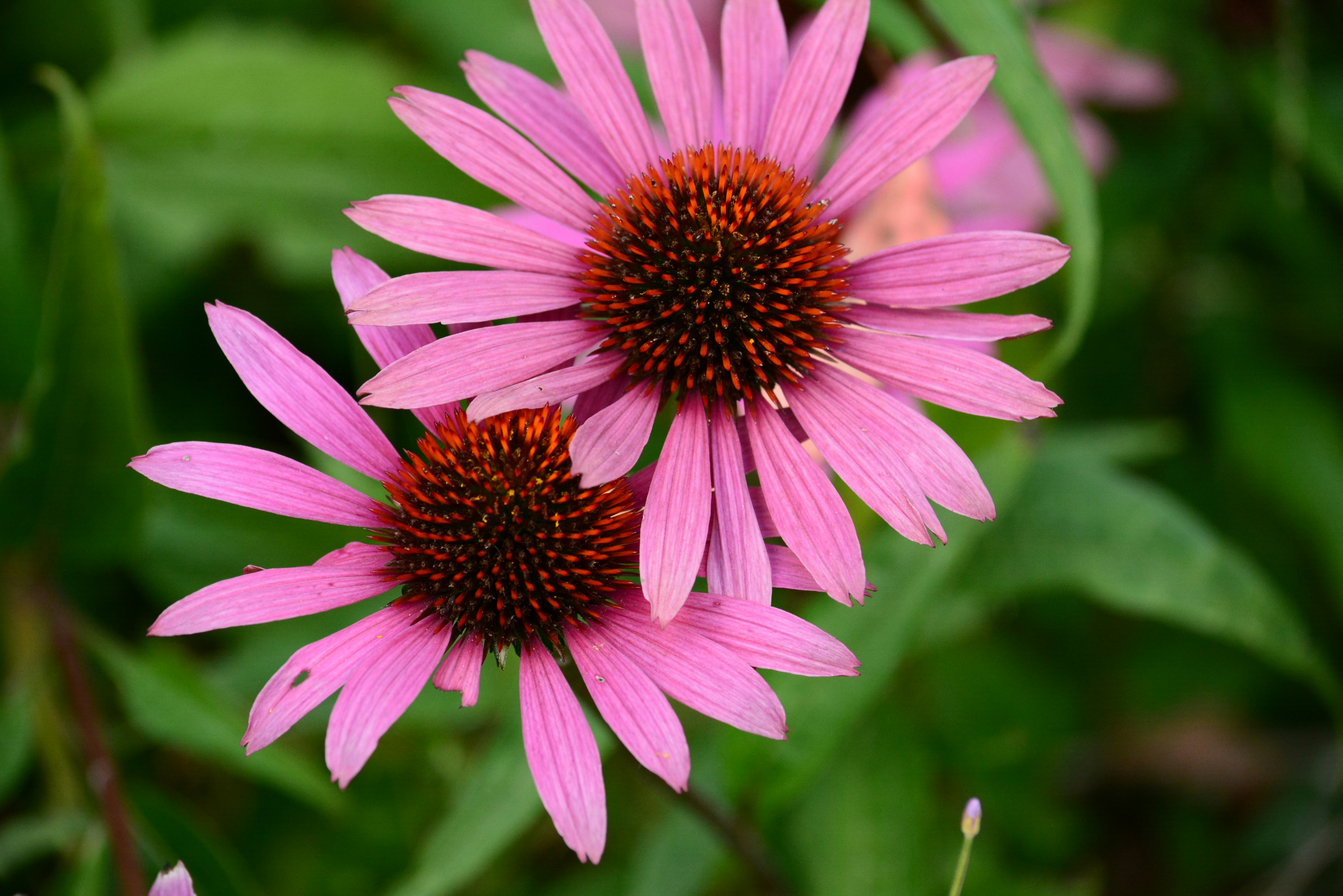 Photo by richard7seals