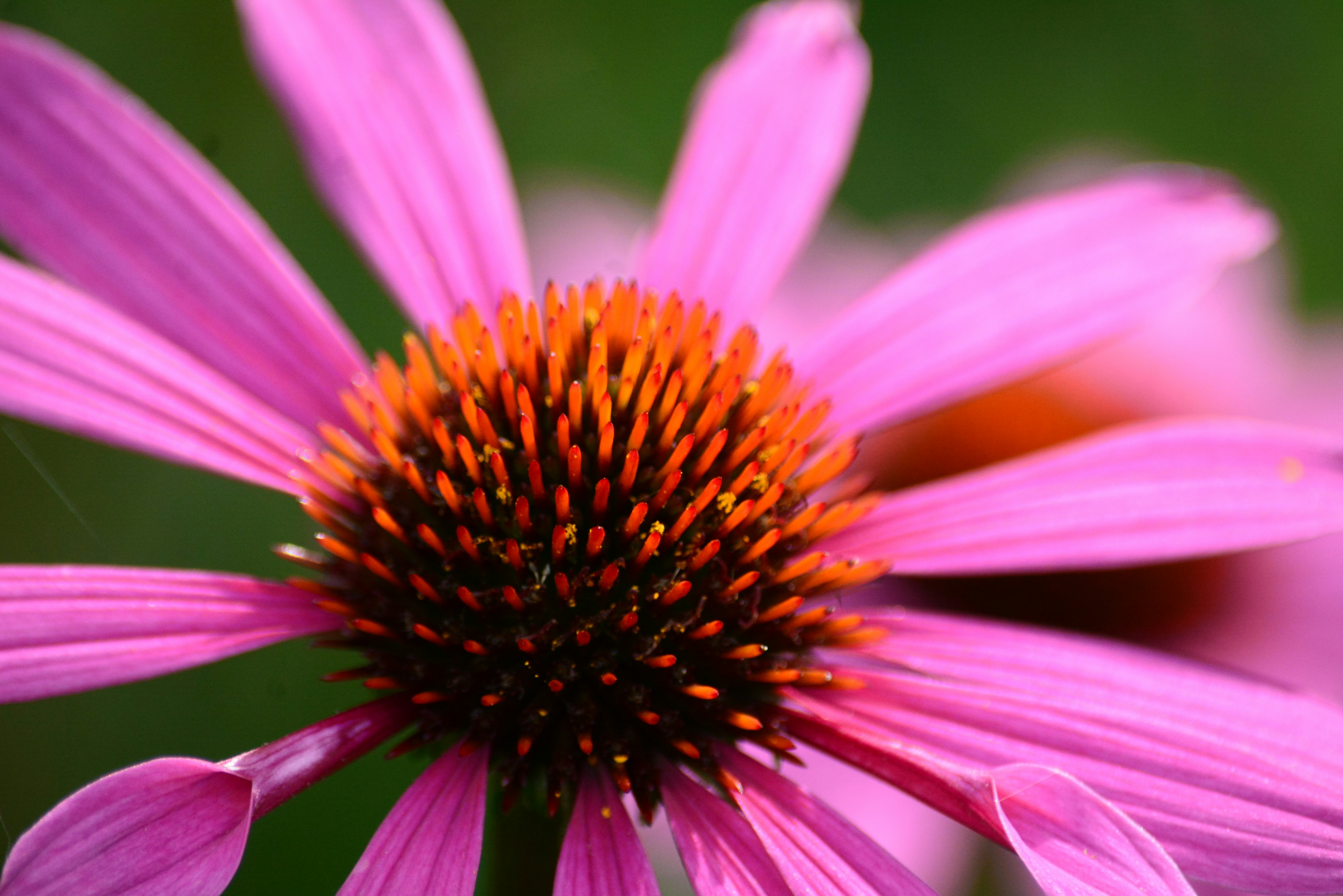 Photo by richard7seals