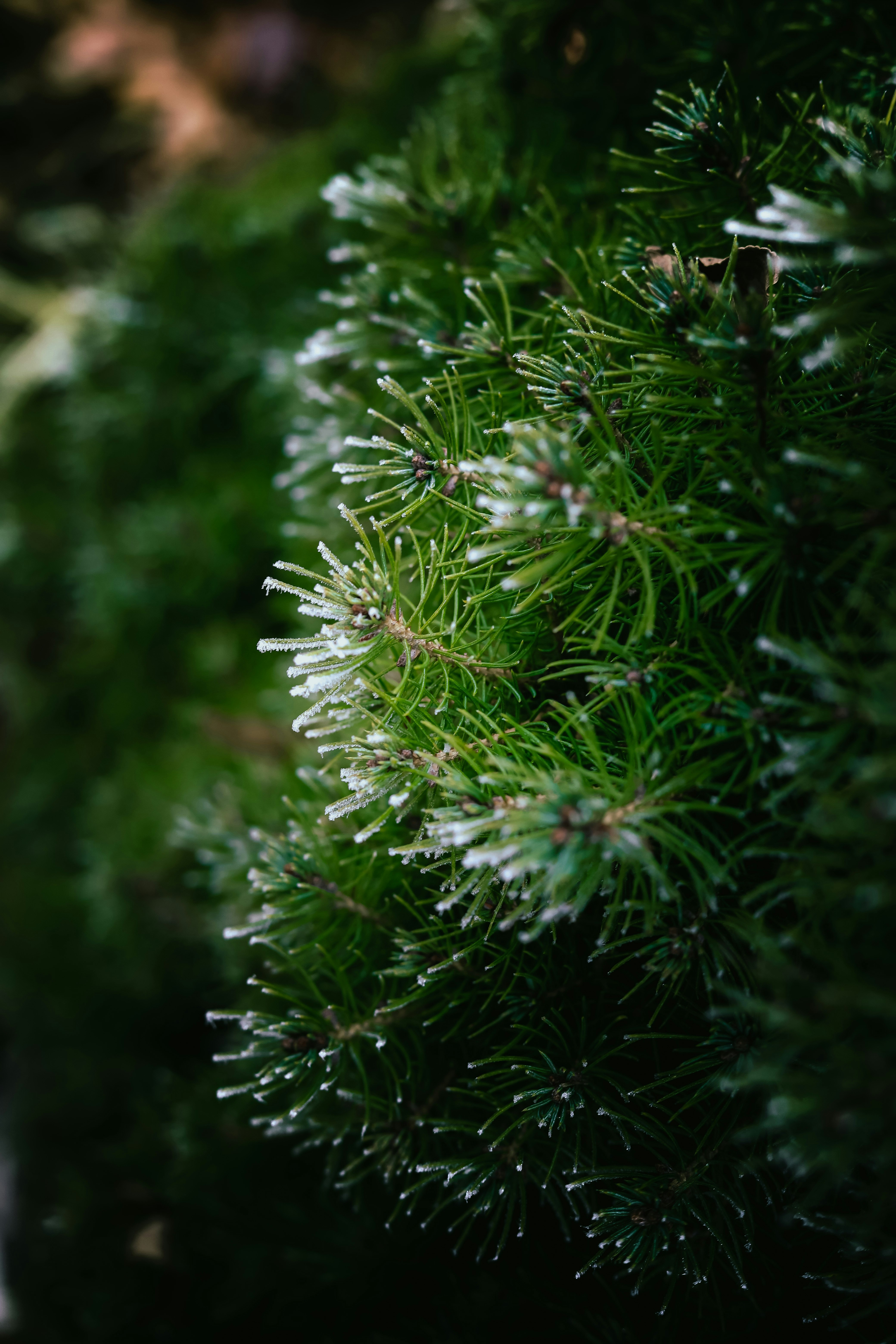 Photo by juliaannephotography