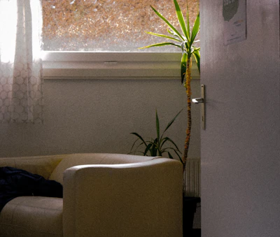 A friendly caregiver gently tending to a cozy, well-kept living room filled with natural light.